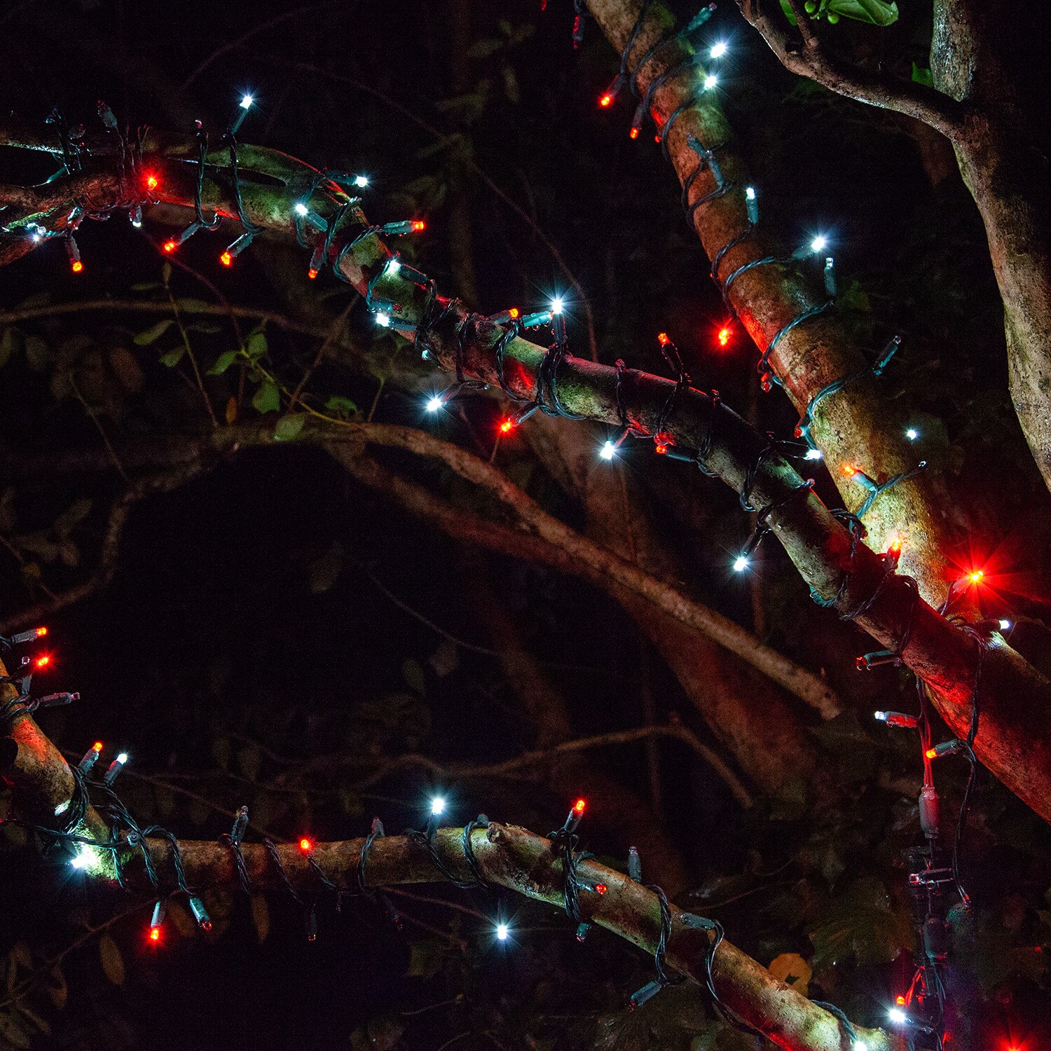 Wintergreen Lighting 79593 Christmas-String-Lights - View #4