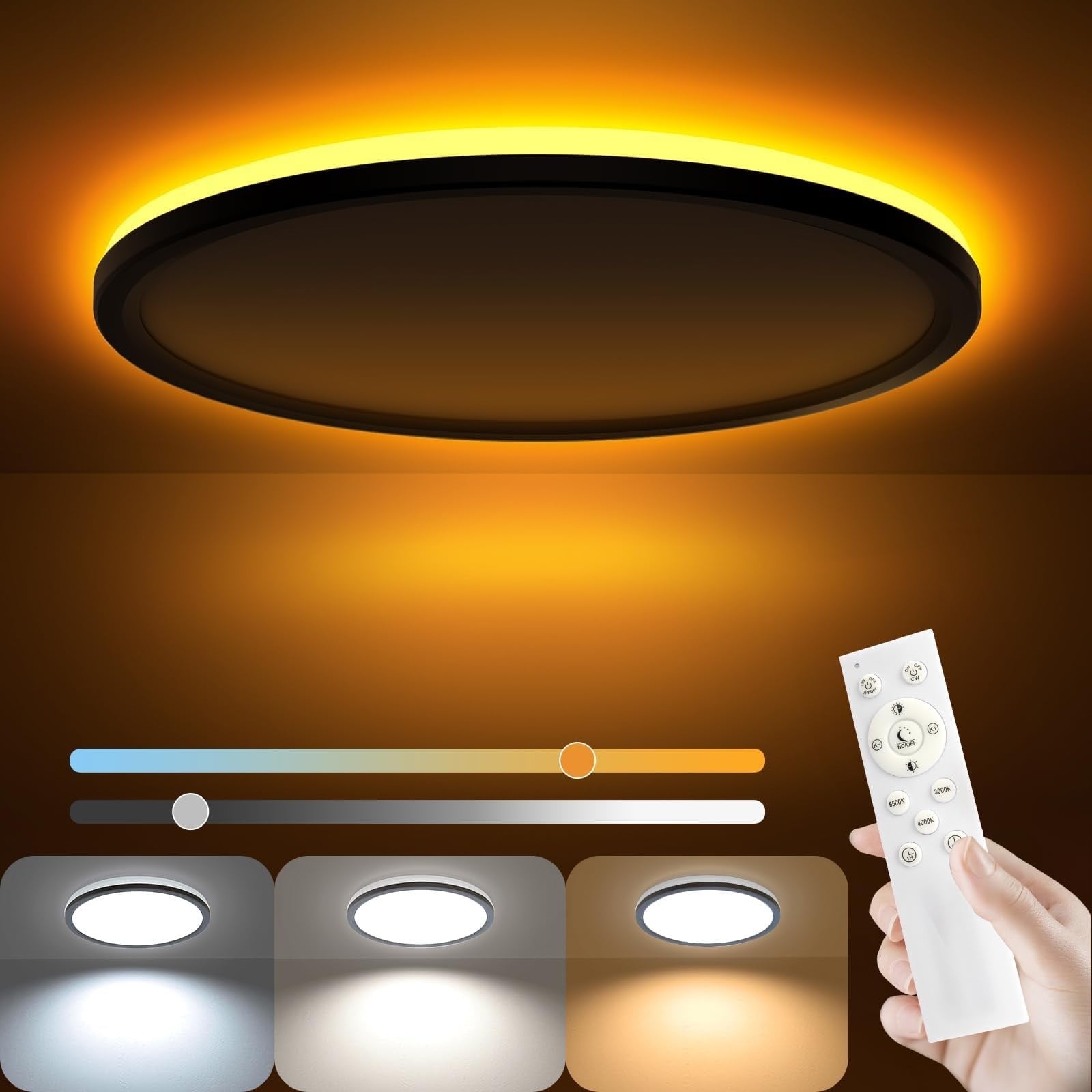 Pacrigo  12 Inch LED Flush Mount Ceiling Light with Remote Control Dimmable 1800K 3000K 4000K 6500K 24W Low Profile Hardwiring Ceiling Lamp for Bedroom Living Room Kitchen Hallway Black