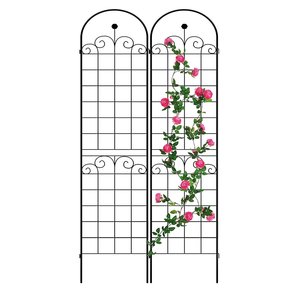 Topcraft 40-in W x 86.7-in H Black Steel Scroll Garden Trellis (2-Pack ...