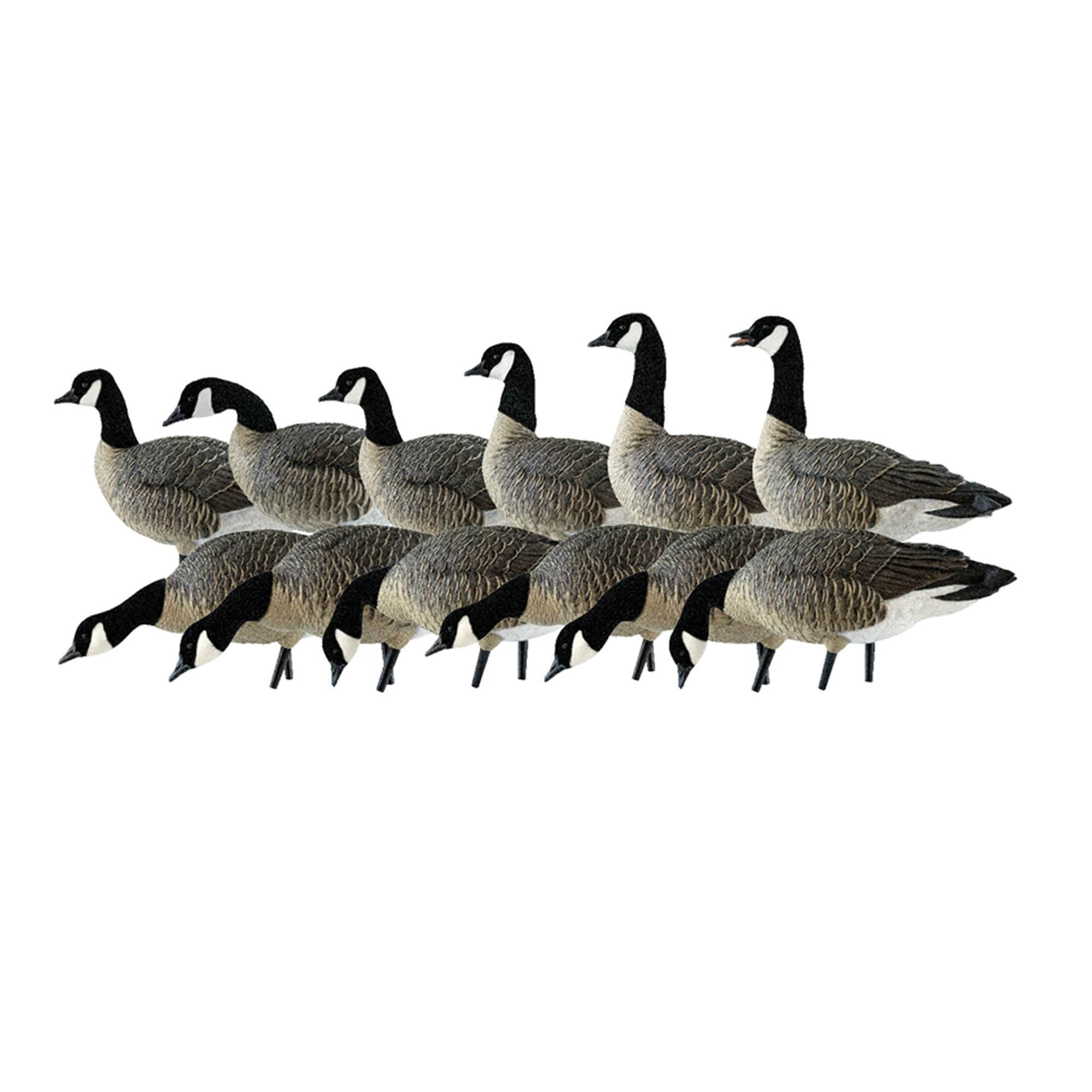  Avian X 399280 33 x 21 x 23 Inche(s) Decoy 12 -Pack