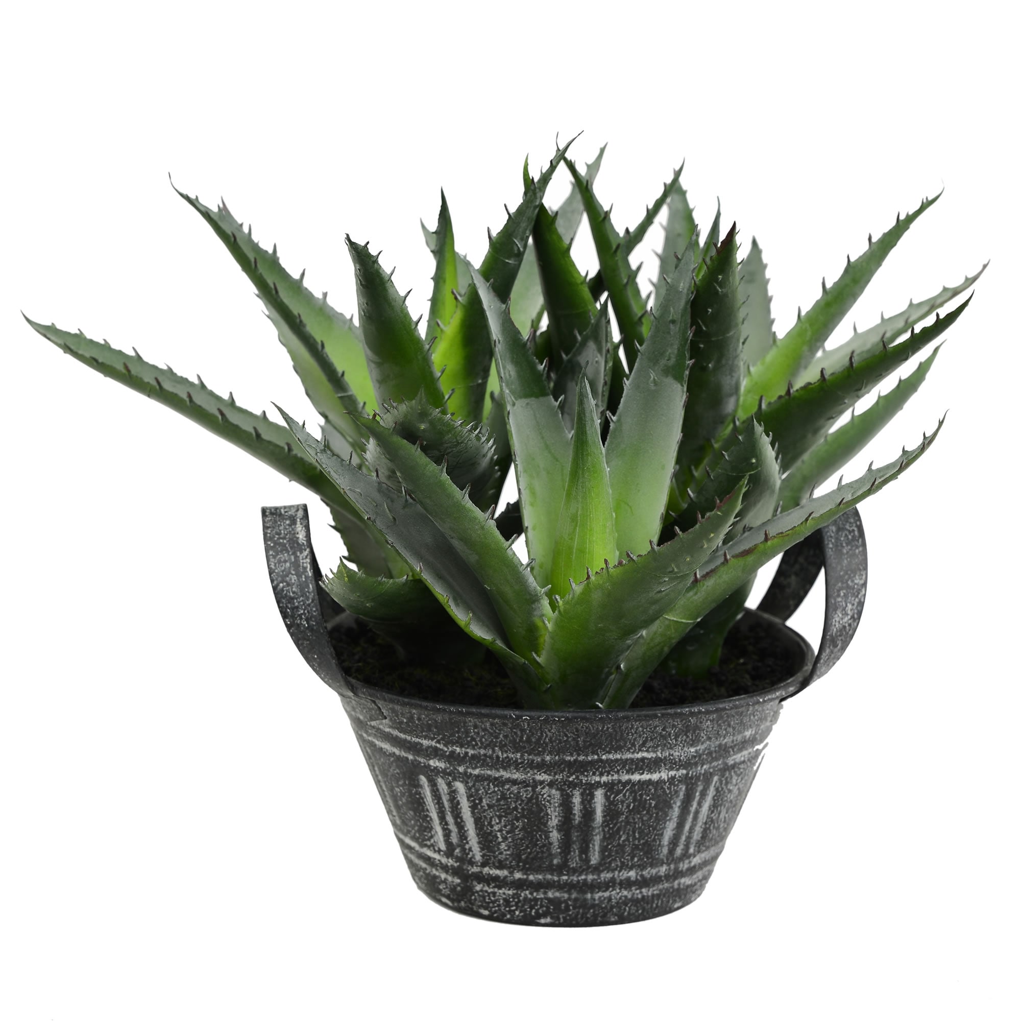 Vickerman FE180901 8-in Green Indoor Succulent Artificial Plant