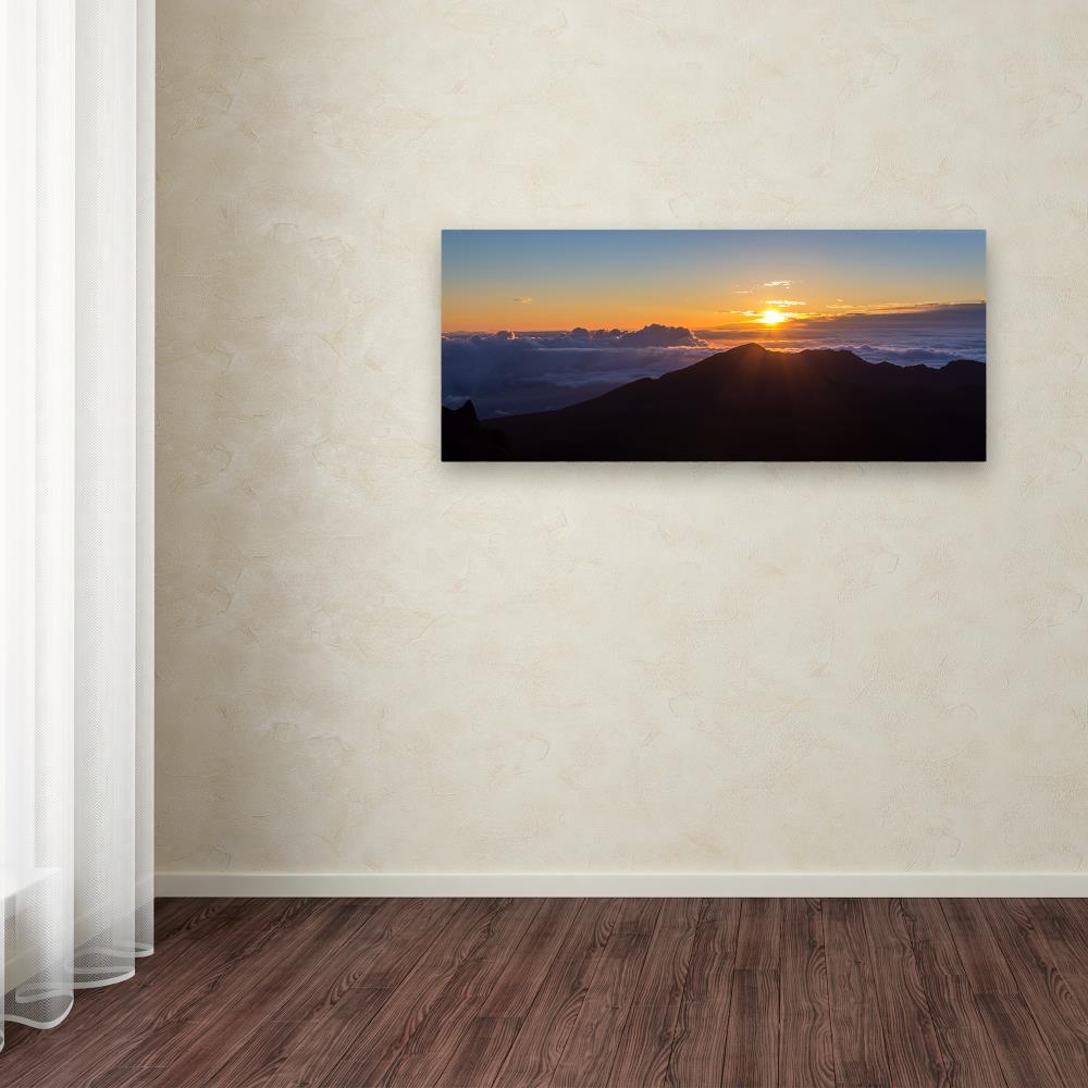 Trademark Fine Art PL0228-C1024GG Wall-Art - View #3