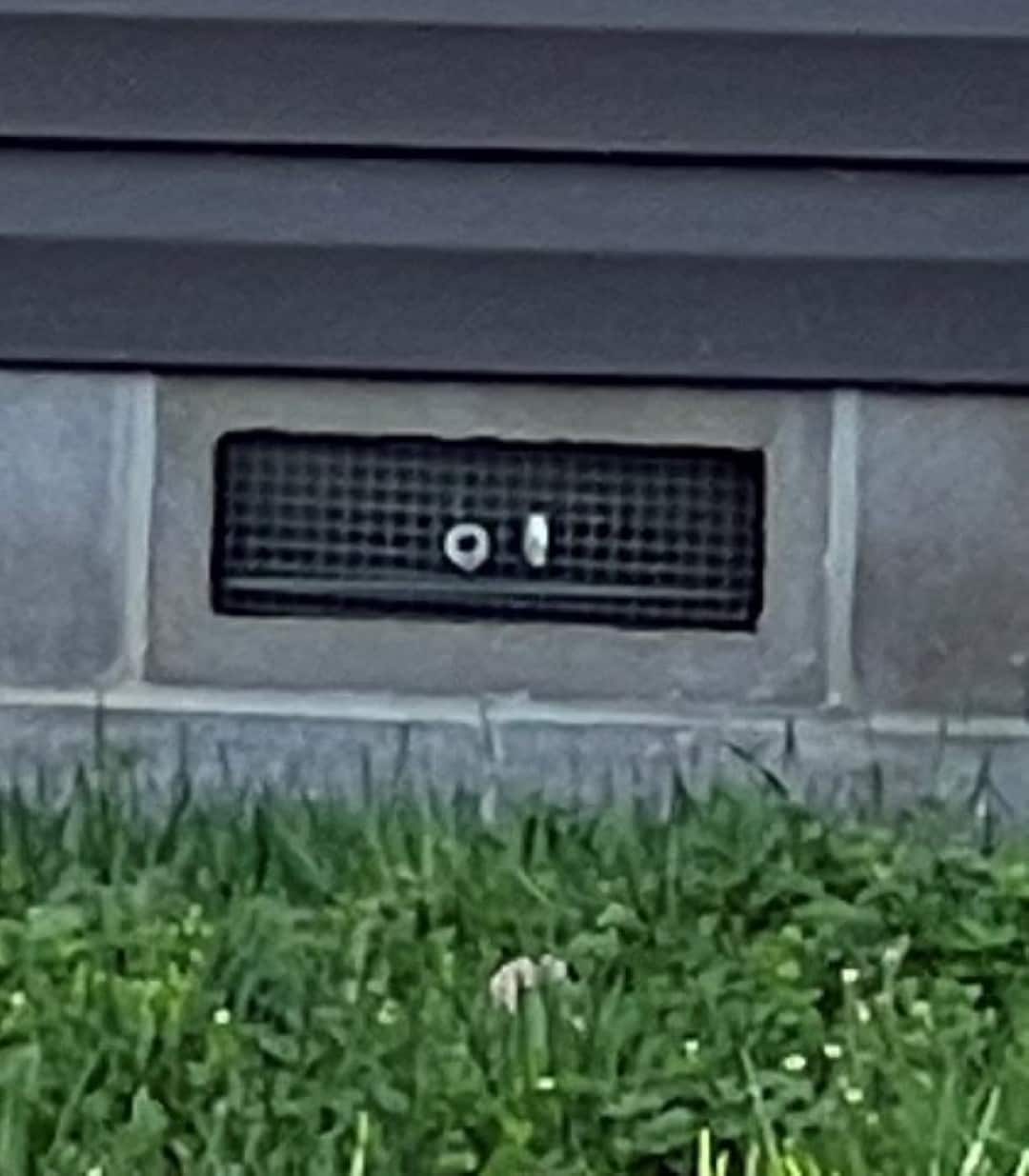  MBV60360032 Foundation-Vents - View #3