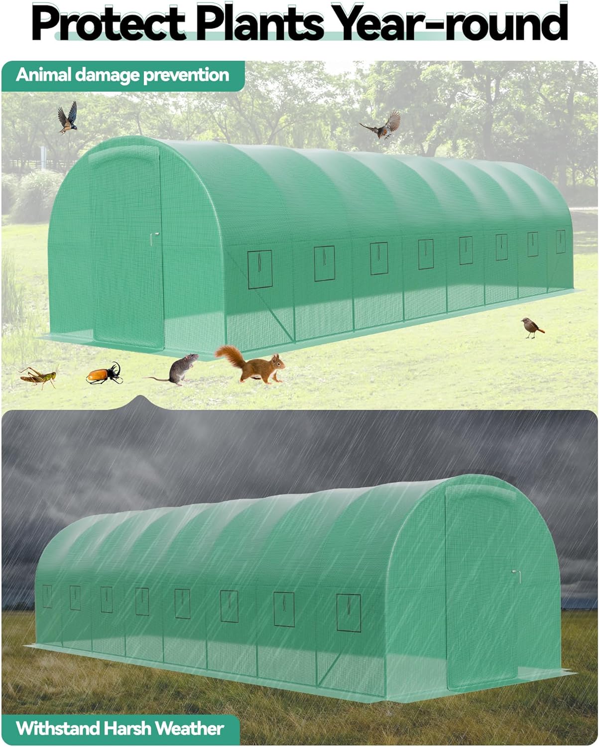 Qeetex LMY-VAM-333BN4FK greenhouses - View #4