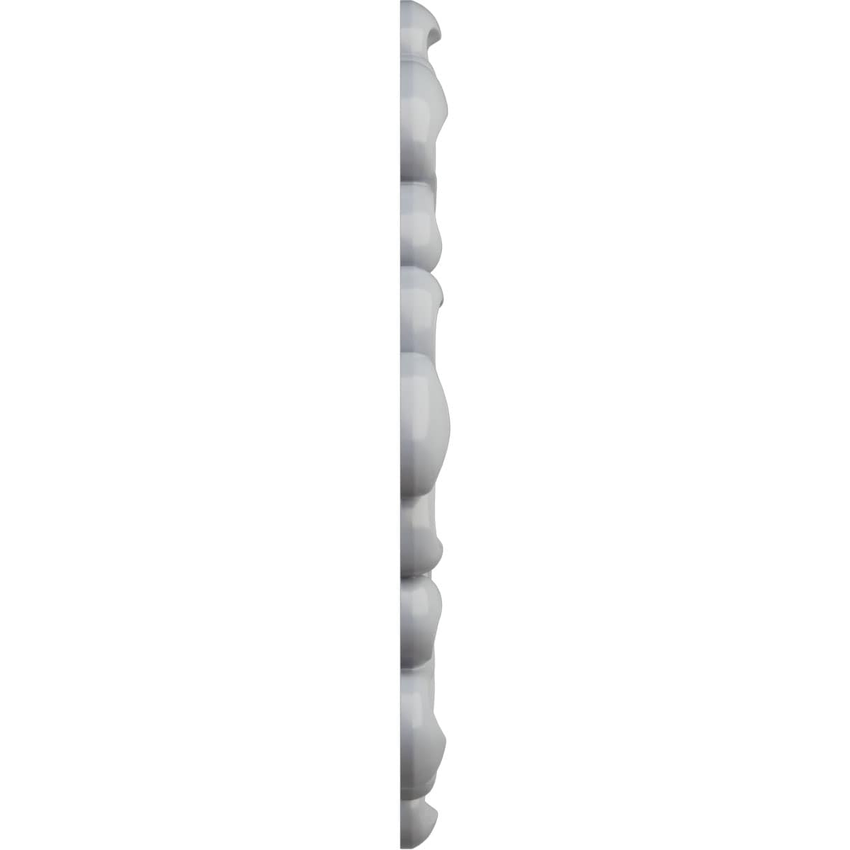 Ekena Millwork CM20ANFRF Ceiling-Medallions - View #3