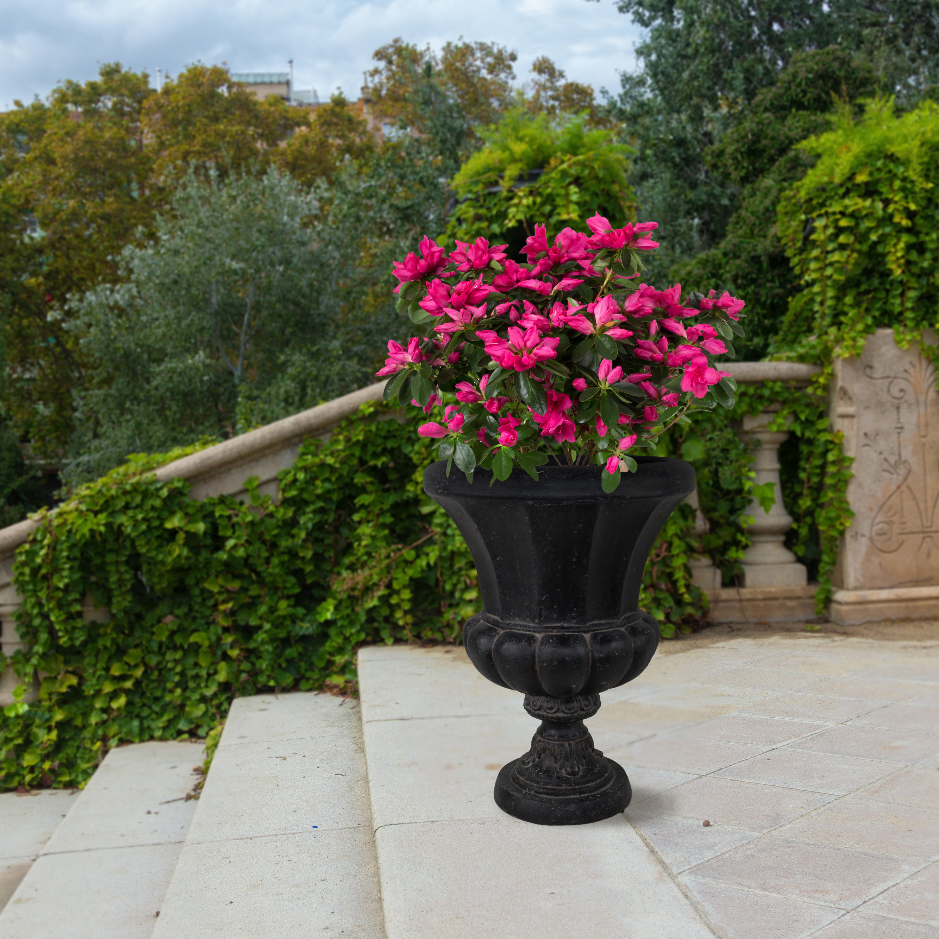 MPG Planters PF1476AC Planter-Window-Box - View #2
