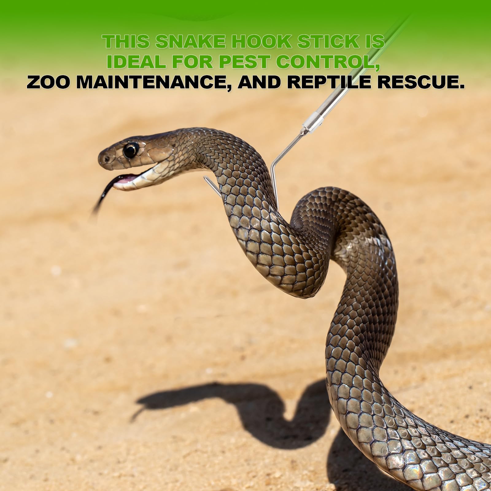 Justincity LJT0427A31 Animal-Rodent-Control - View #4