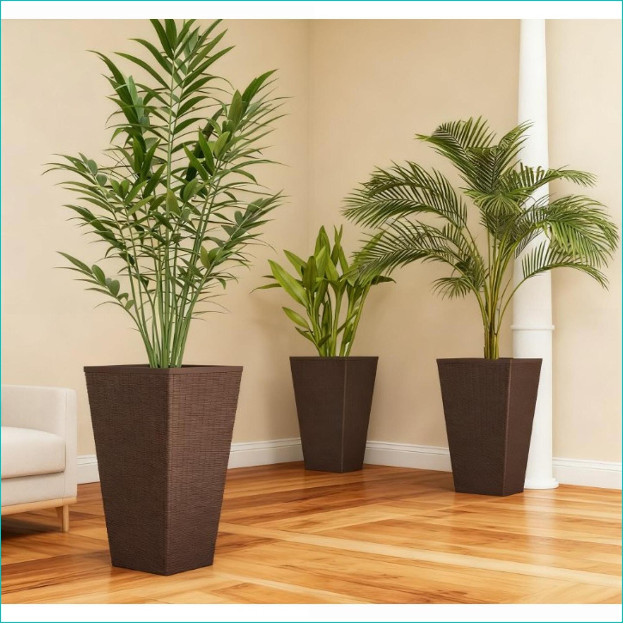 Watnature LJTRAHQC25B1 Planter-Window-Box - View #4