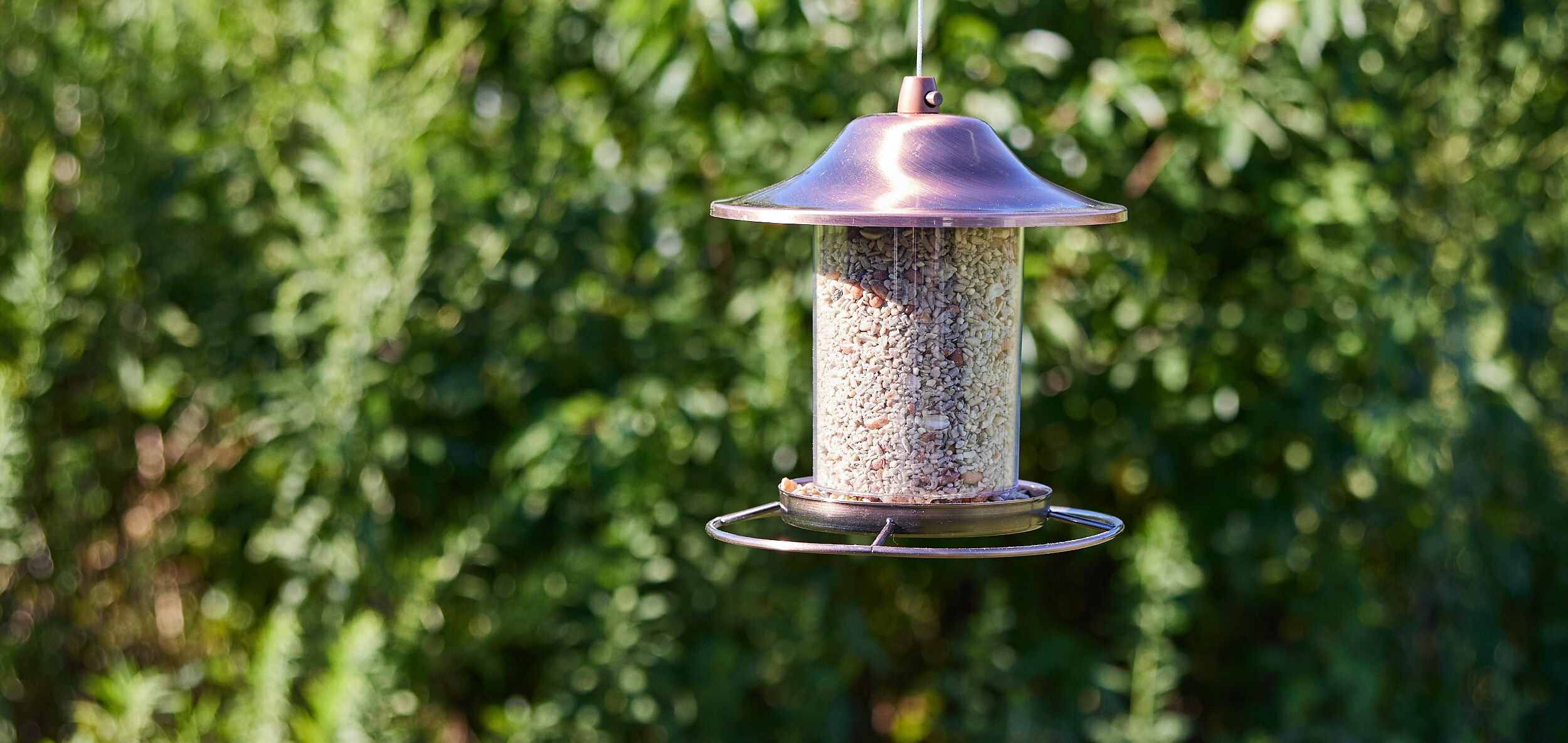 National Audubon Society 001694 Bird-Squirrel-Food - View #4