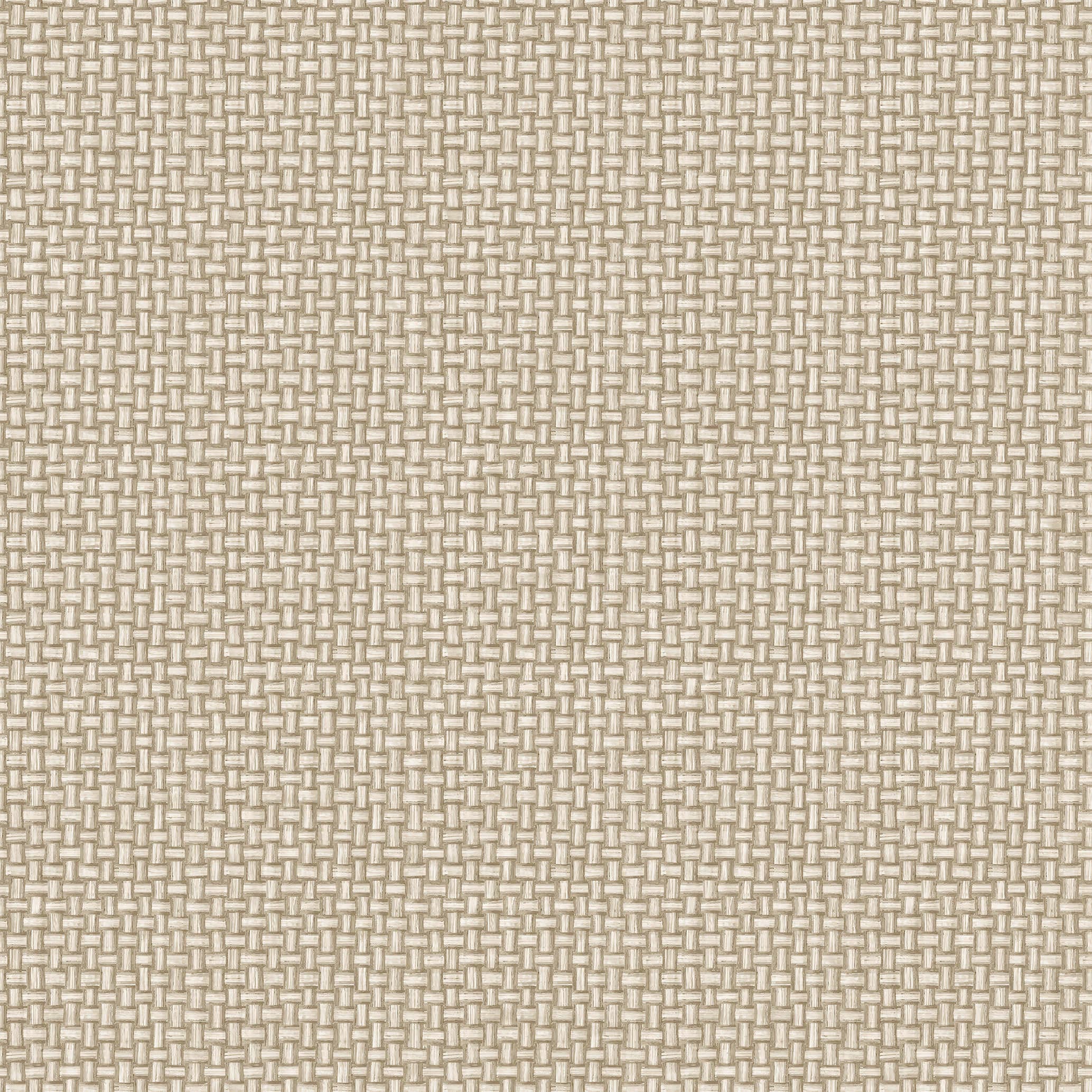 HOLDEN 13582 56-sq ft Beige Paper Geometric Unpasted Wallpaper