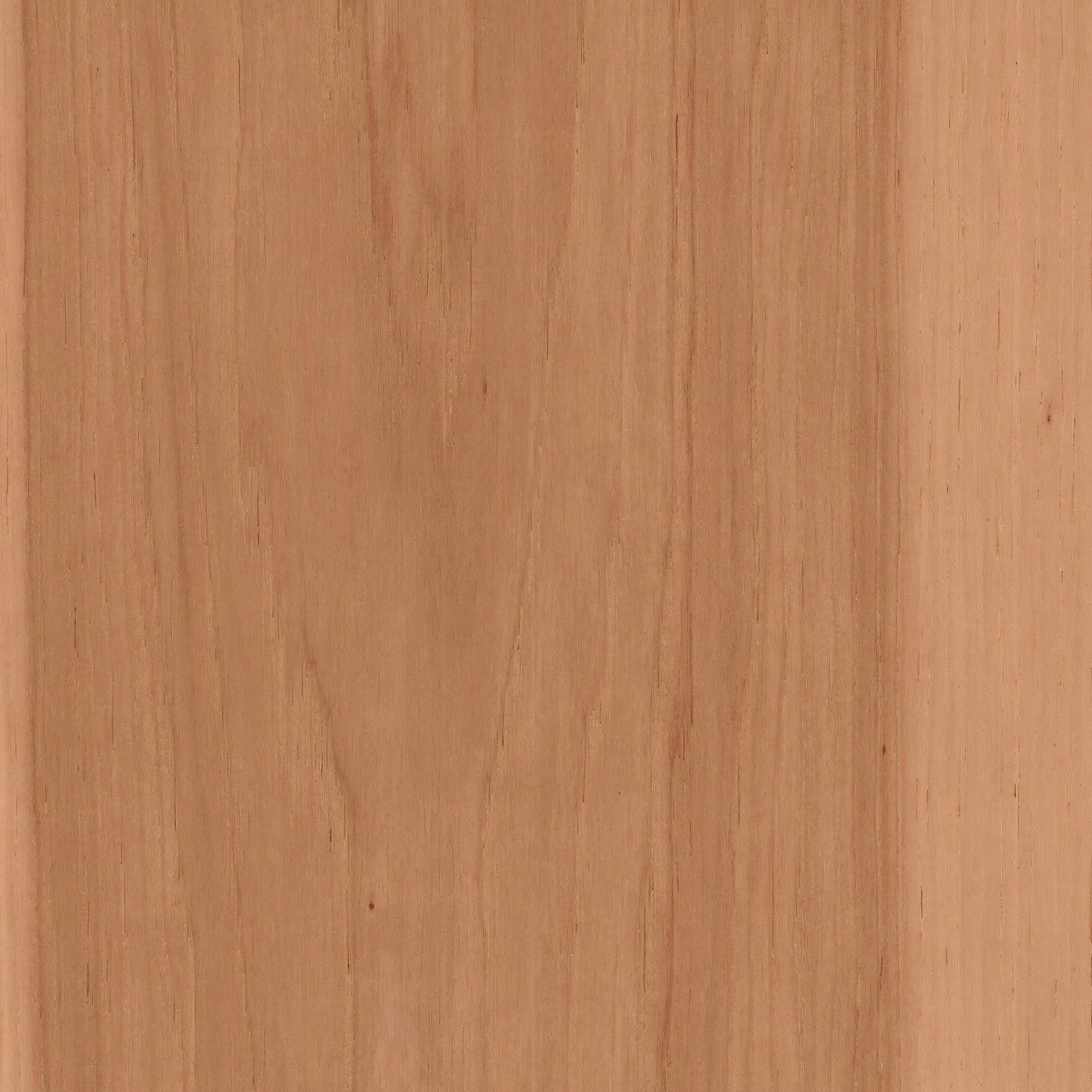CALI 7601100419 Floor-Moulding - View #3