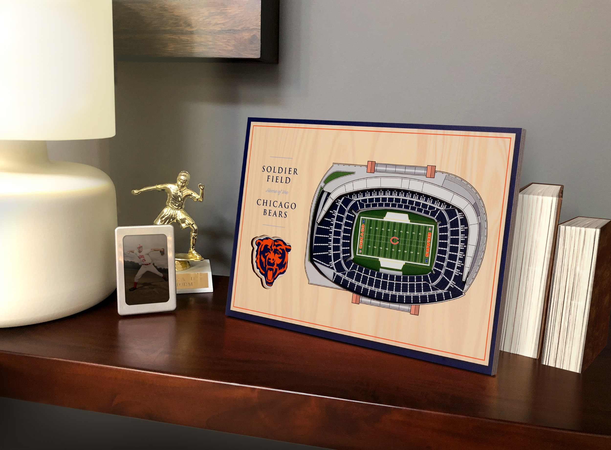 YouTheFan NFL Chicago Bears 3D StadiumViews Desktop Display