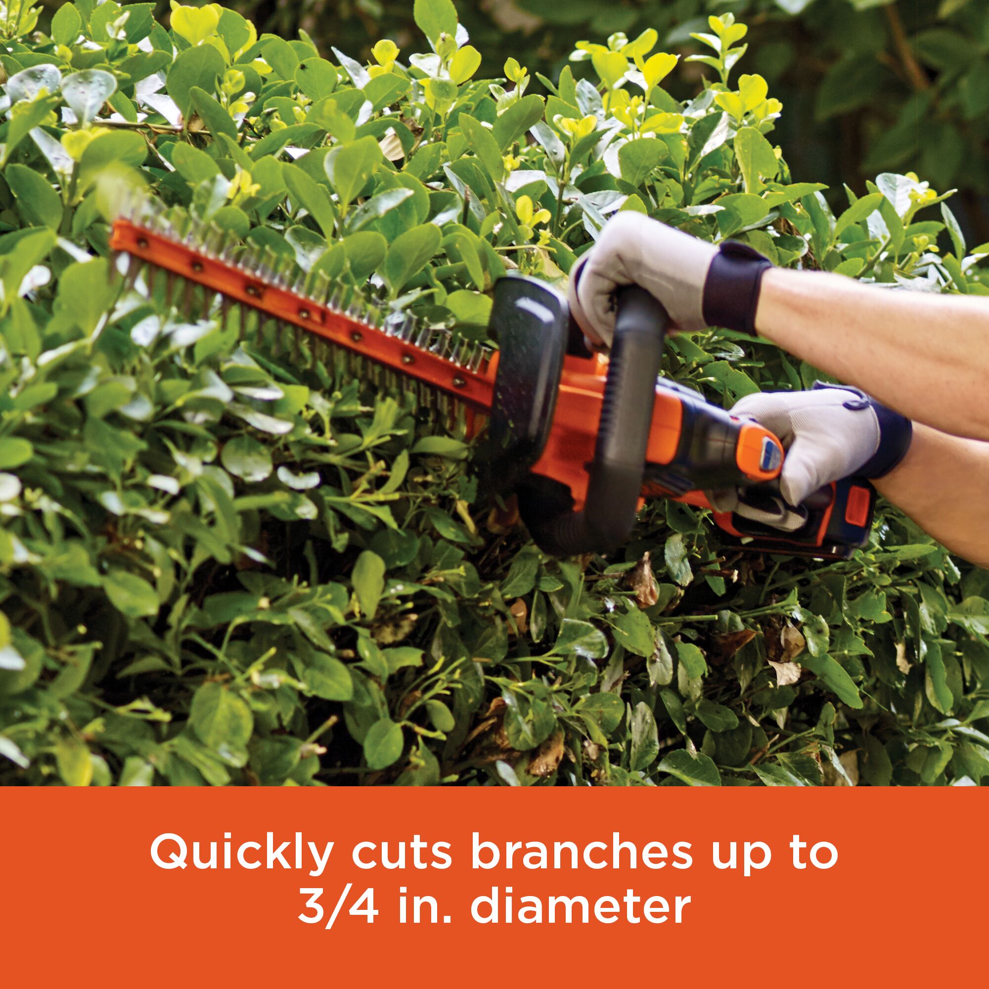 BLACK+DECKER 20-Volt Max 10-in Straight Cordless String Trimmer with  Attachment Capable and Edger Capable & POWERCUT 20-Volt Max 22-in Dual  Cordless