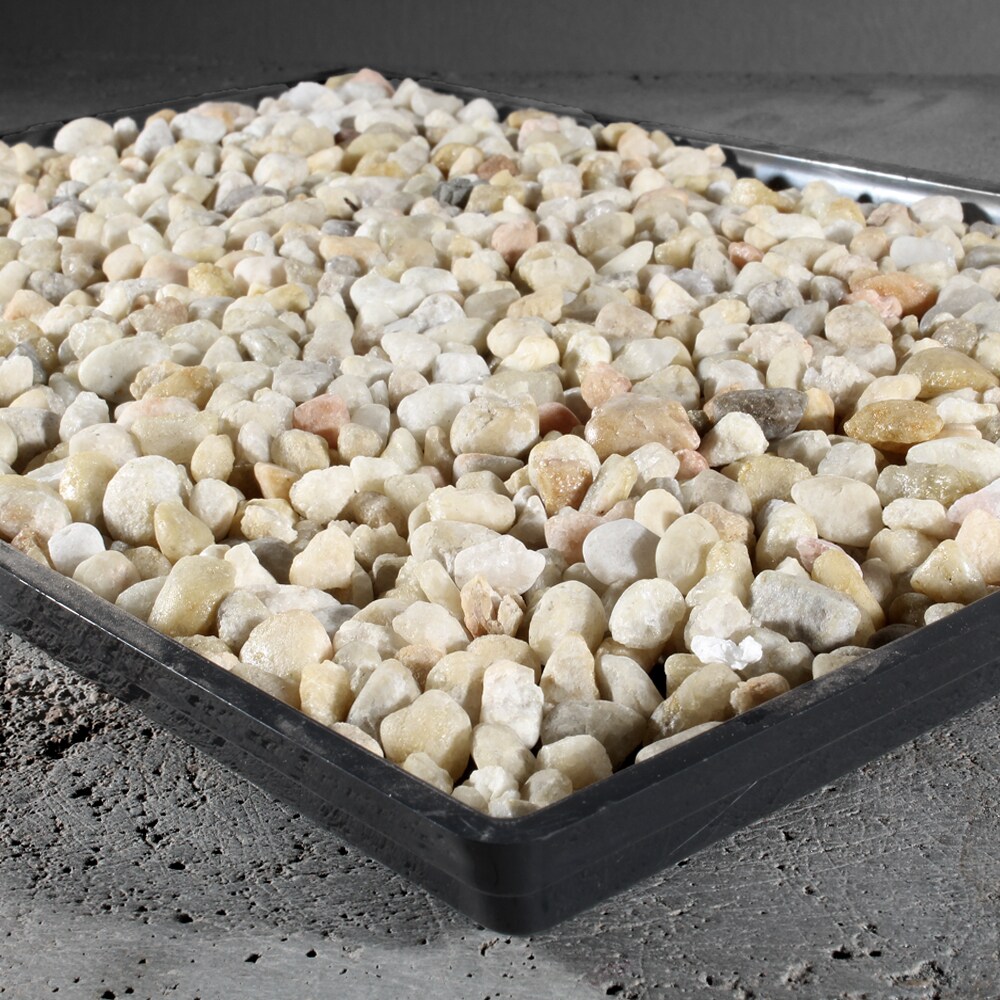 Brussel's Bonsai PPT13 House-Plant-Accessories - View #2
