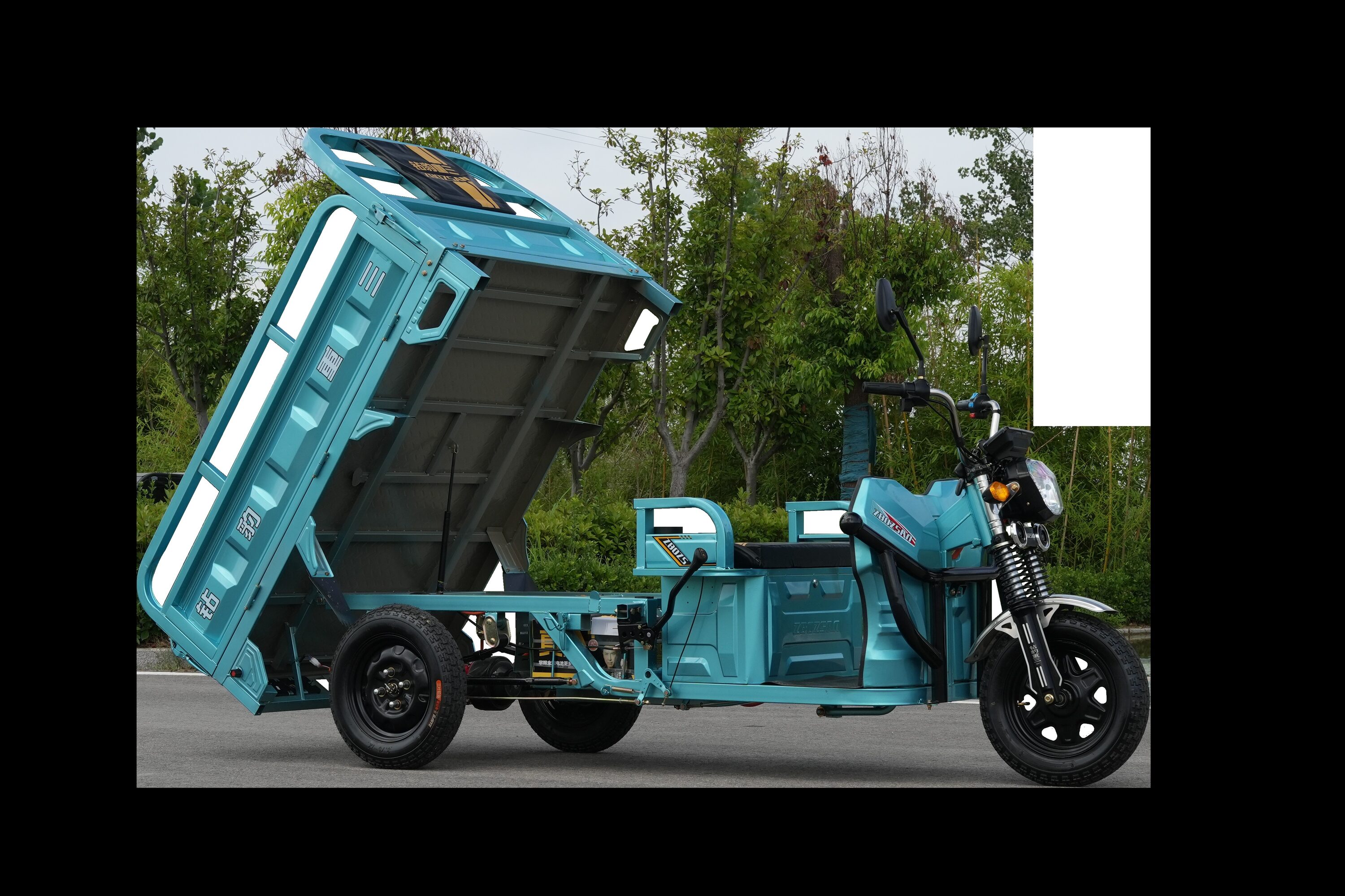 Flynama L-P171777 scooters - View #6