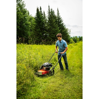 Fortrolig Fjendtlig Rundt om DR Power Equipment Premier 170-cc 4-cycle Single Gas Hedge Trimmer in the Hedge  Trimmers department at Lowes.com