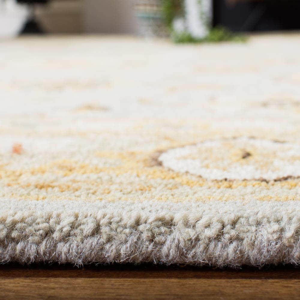 Safavieh AN556B-5 rugs - View #7
