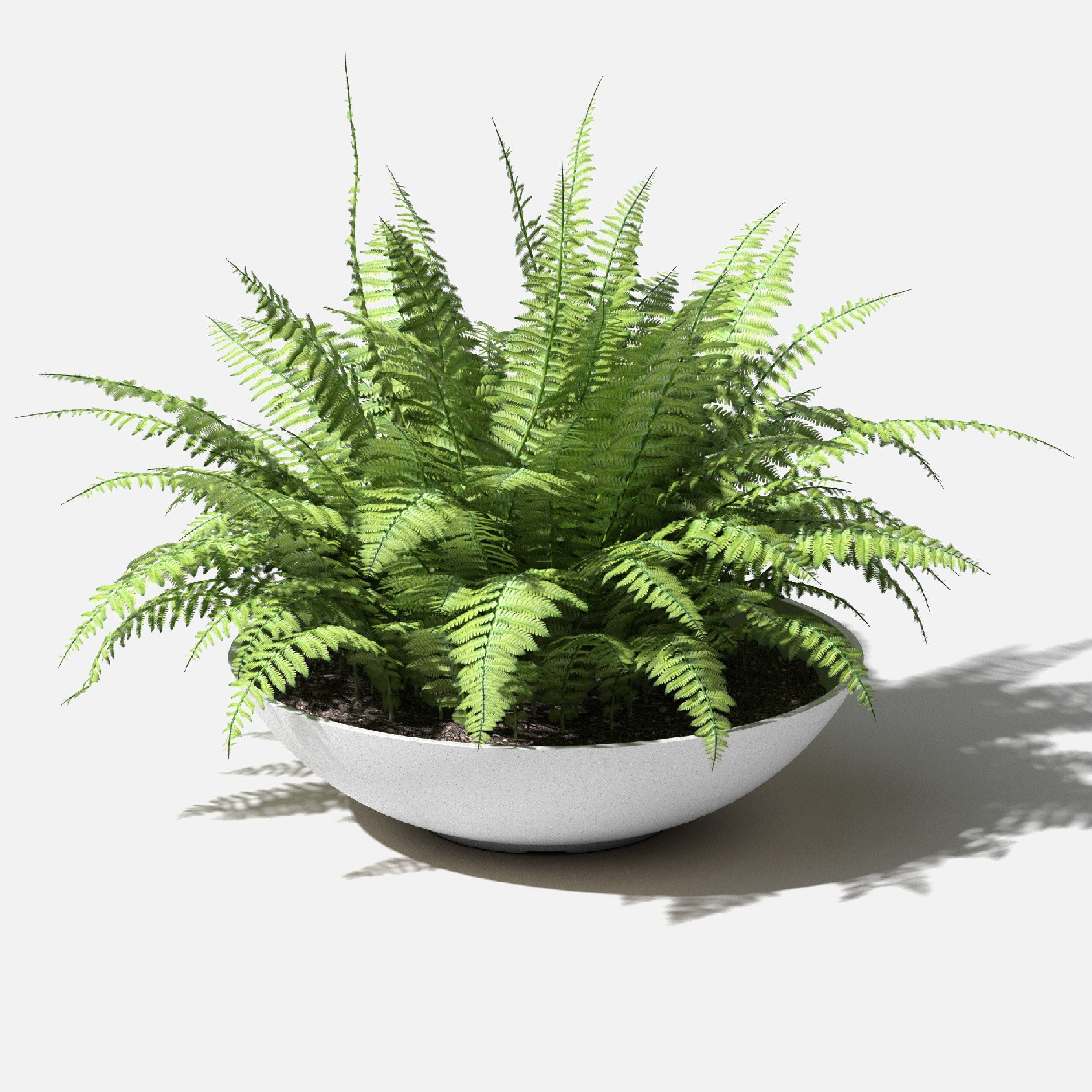 Veradek LBV24W Planter-Window-Box - View #8