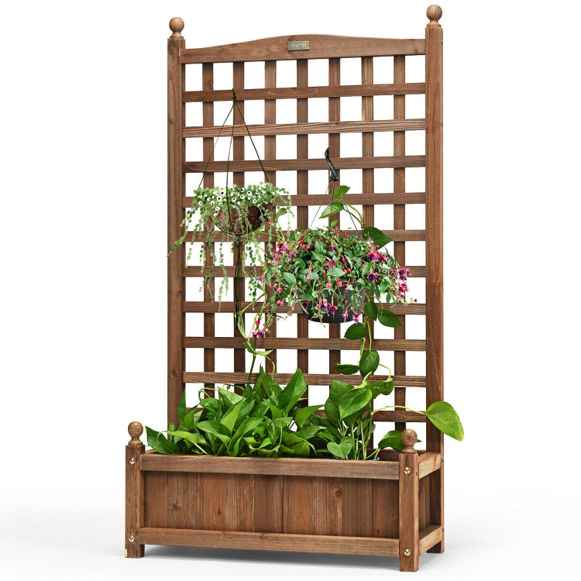 BABOOM BOM-GT3564-CO Raised-Planter-Boxes - View #11