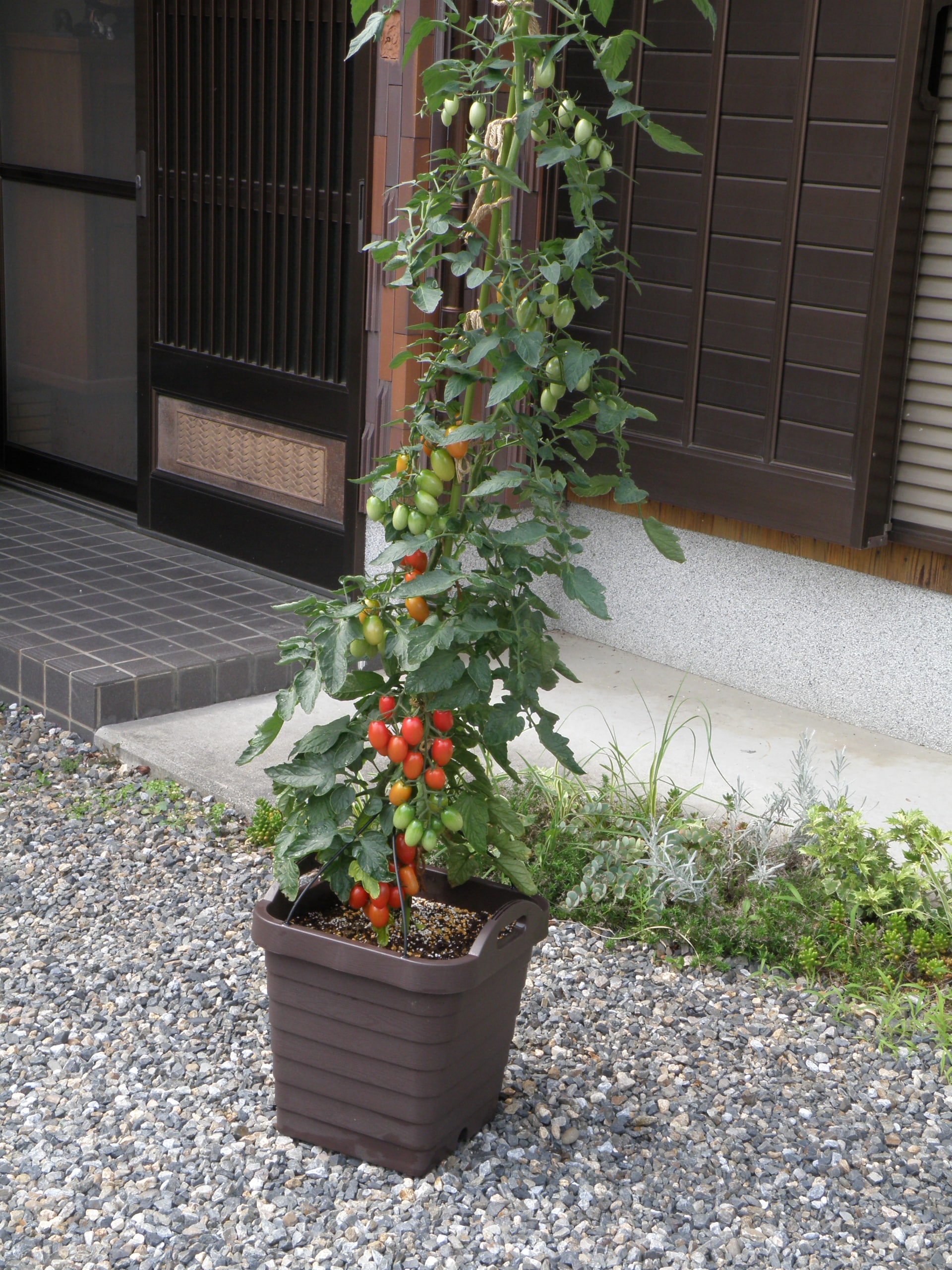 Astage 902359 Planter-Window-Box - View #3
