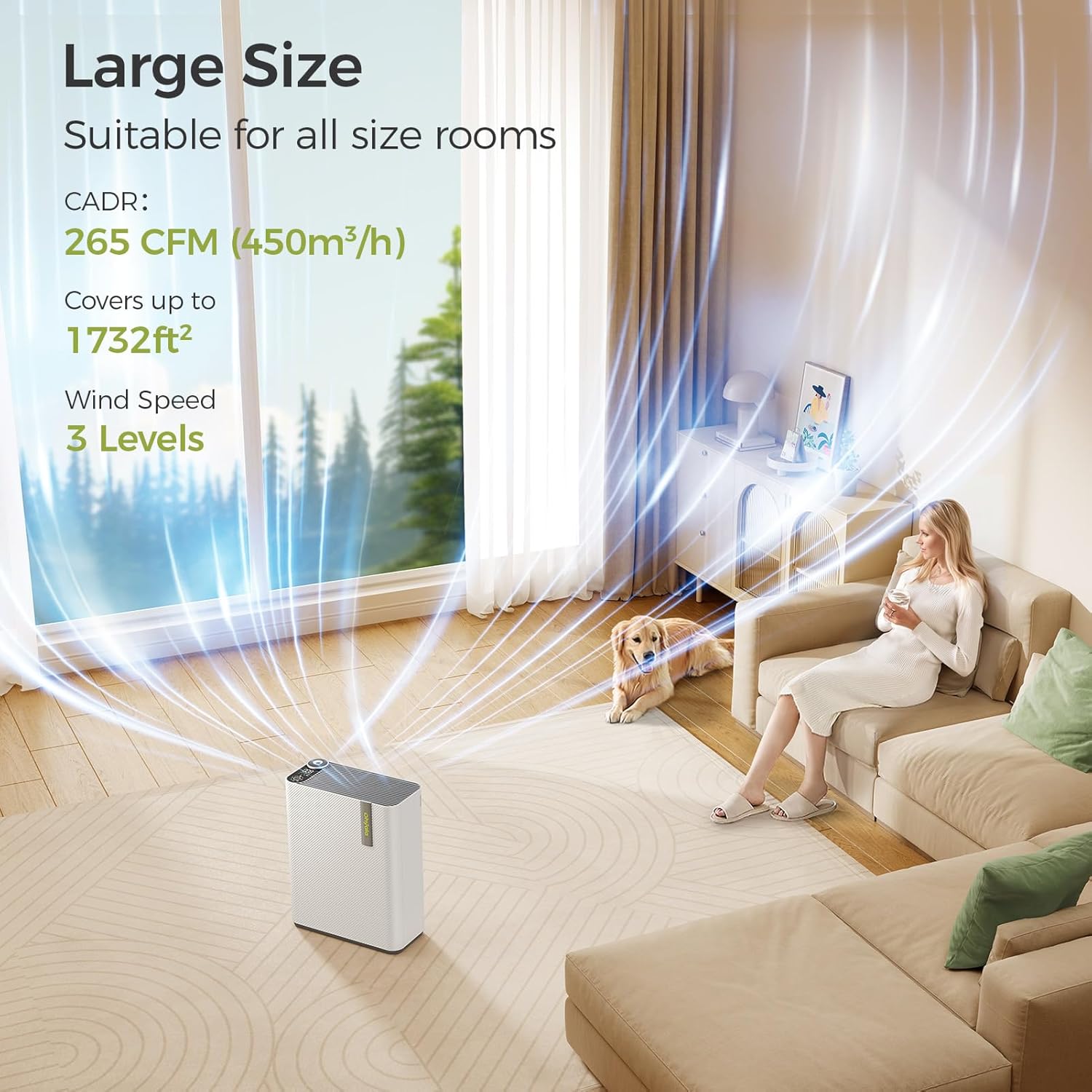 EdenDirect DHDE140946 m018095 - View #2