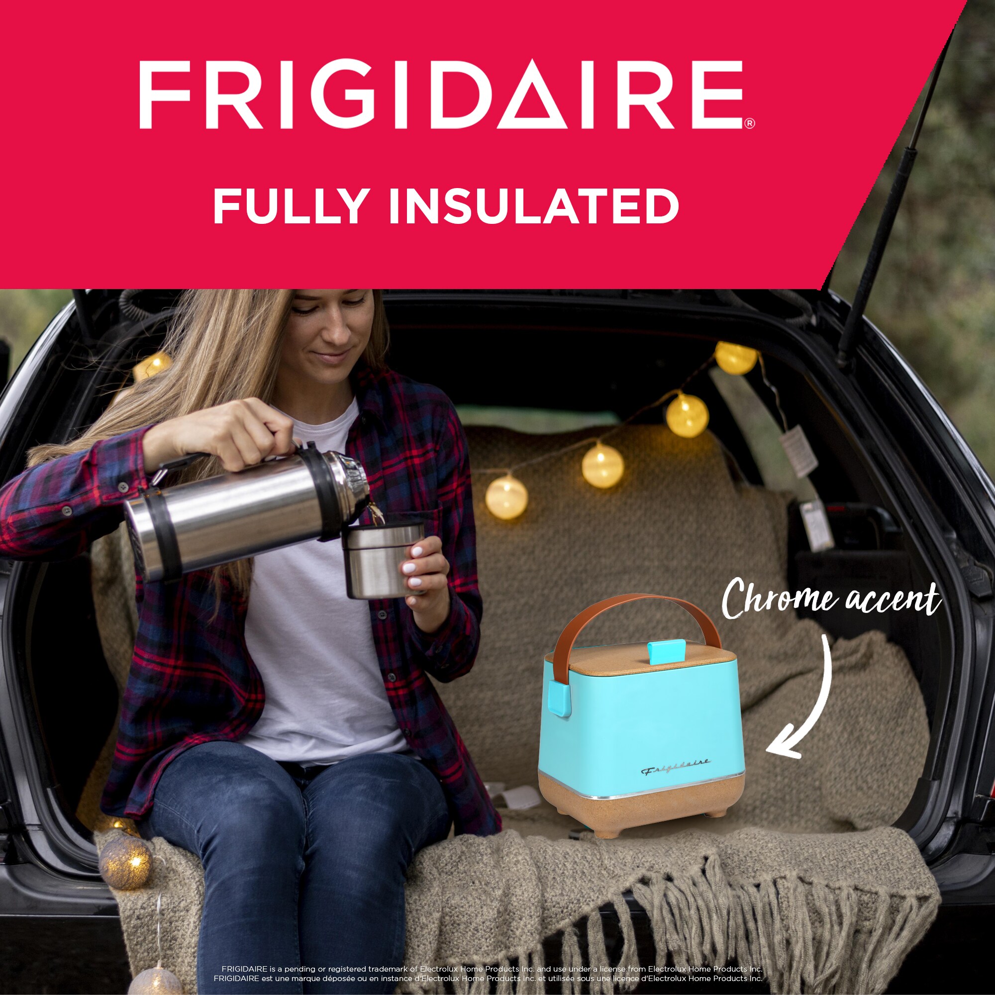 Frigidaire EFMIS310-BLUE m050615 - View #7