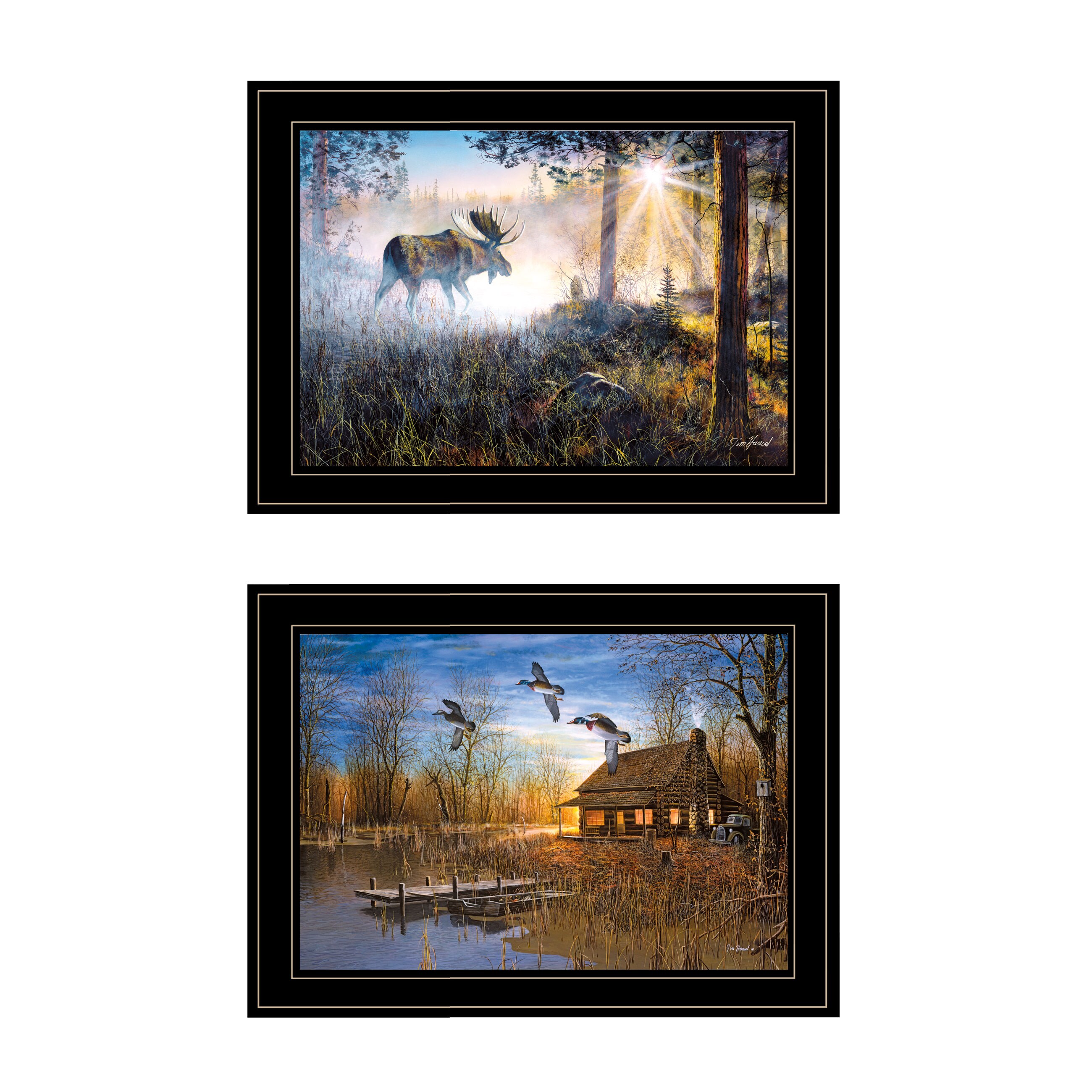Trendy Decor 4U VJH371-704G Black Wood Framed 15-in H x 21-in W Animals Paper Print