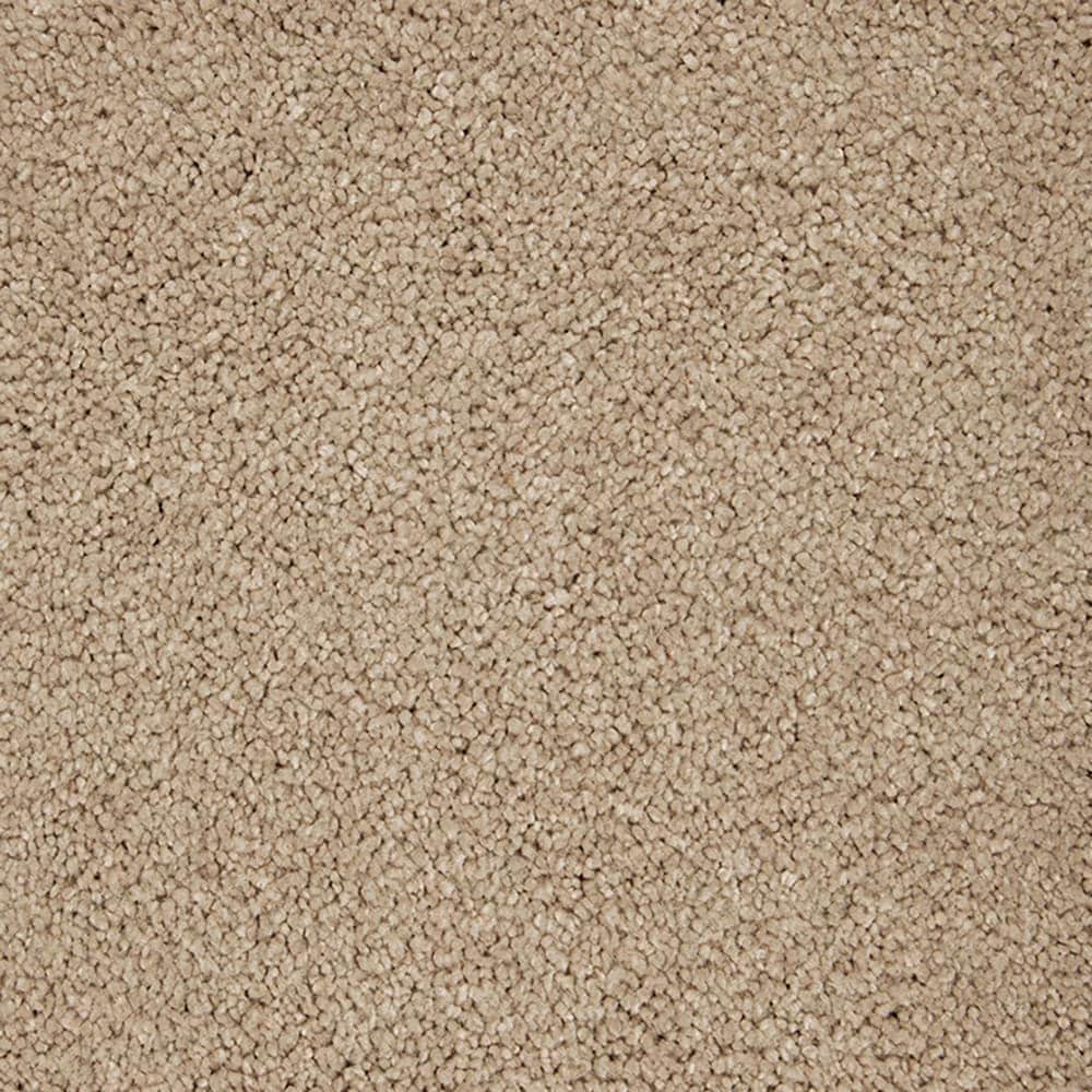 STAINMASTER PetProtect STP55-12-L010 Purrfectly Pampered Truffle Brown 60-oz sq yard Triexta Textured Indoor Carpet