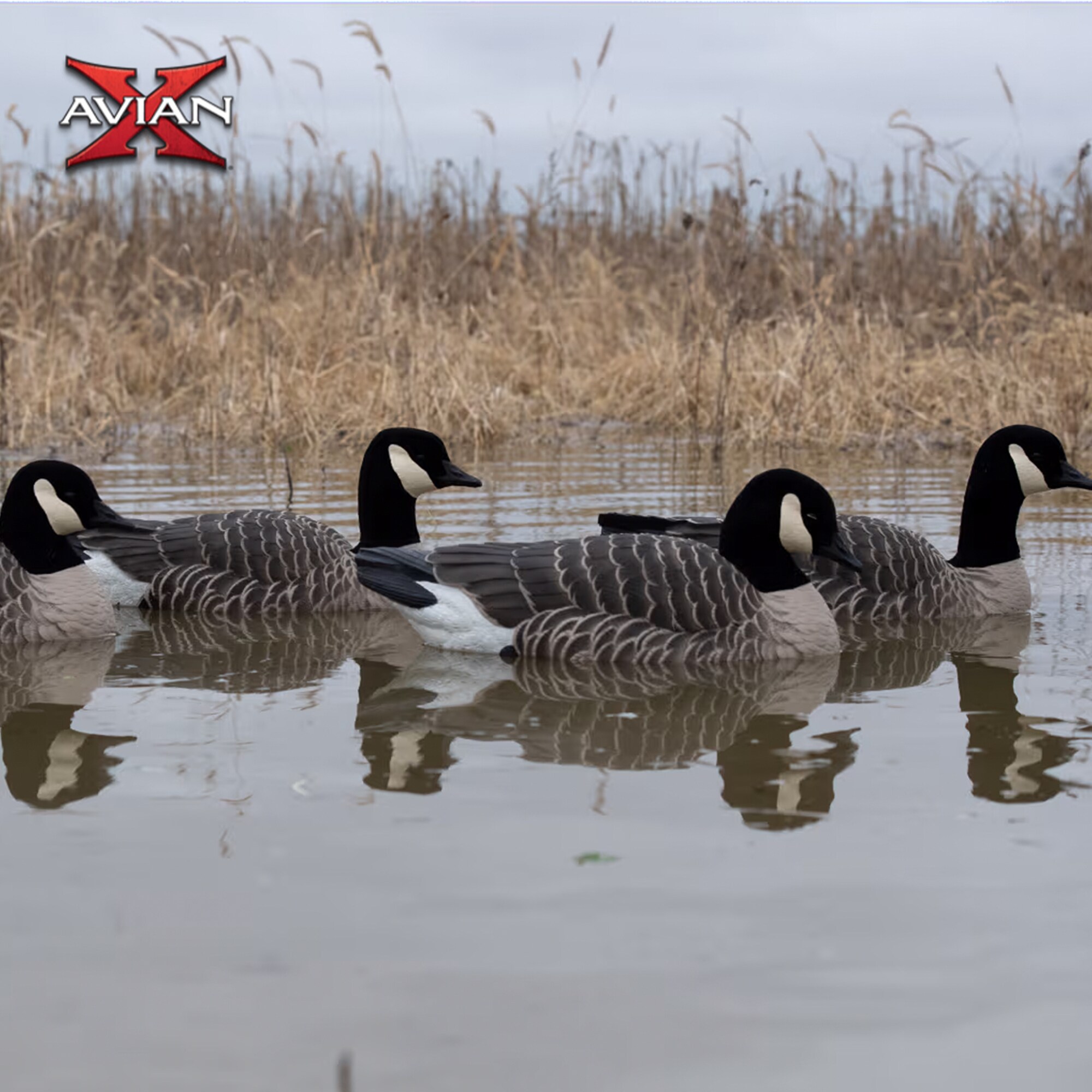 Avian X 408518 Hunting-Equipment - View #10