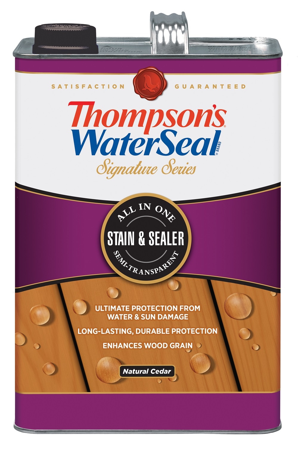 Thompson's WaterSeal Penetrating Timber Oil Pre-tinted Cedar  Semi-transparent Exterior Wood Stain and Sealer (1-Gallon)