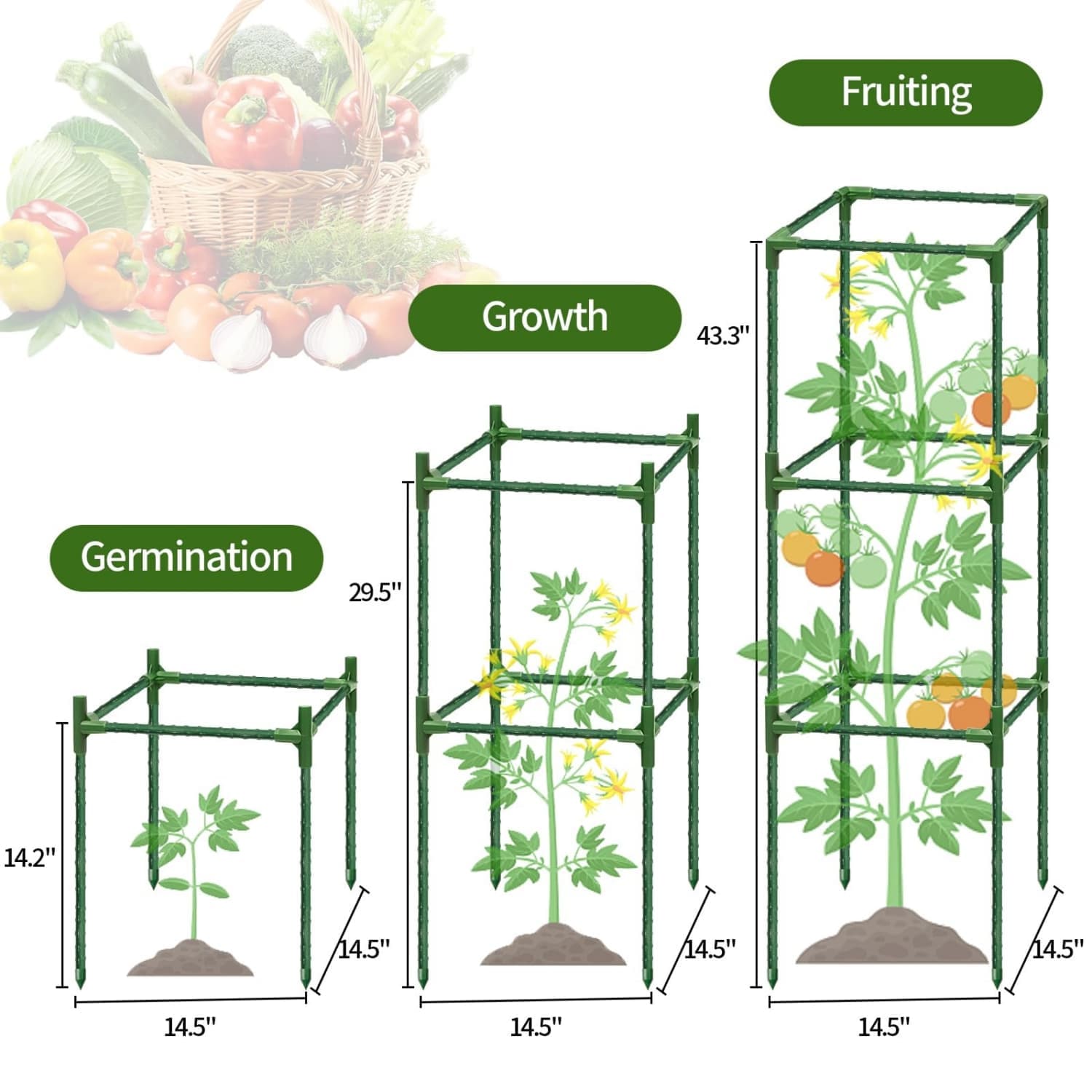 Angel Sar L2ZQYA506TOM03 Tomato-Cages - View #3
