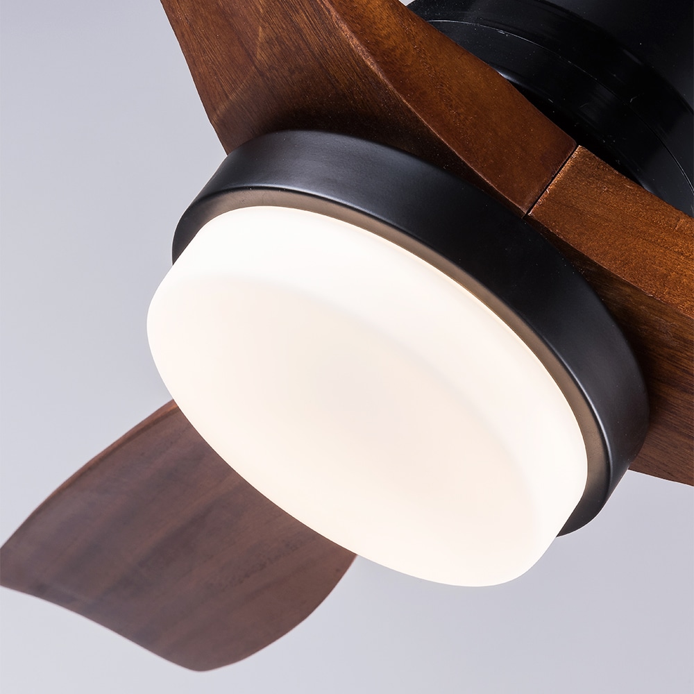 Wellspeed 52LSP334798BKN Ceiling-Fans - View #5