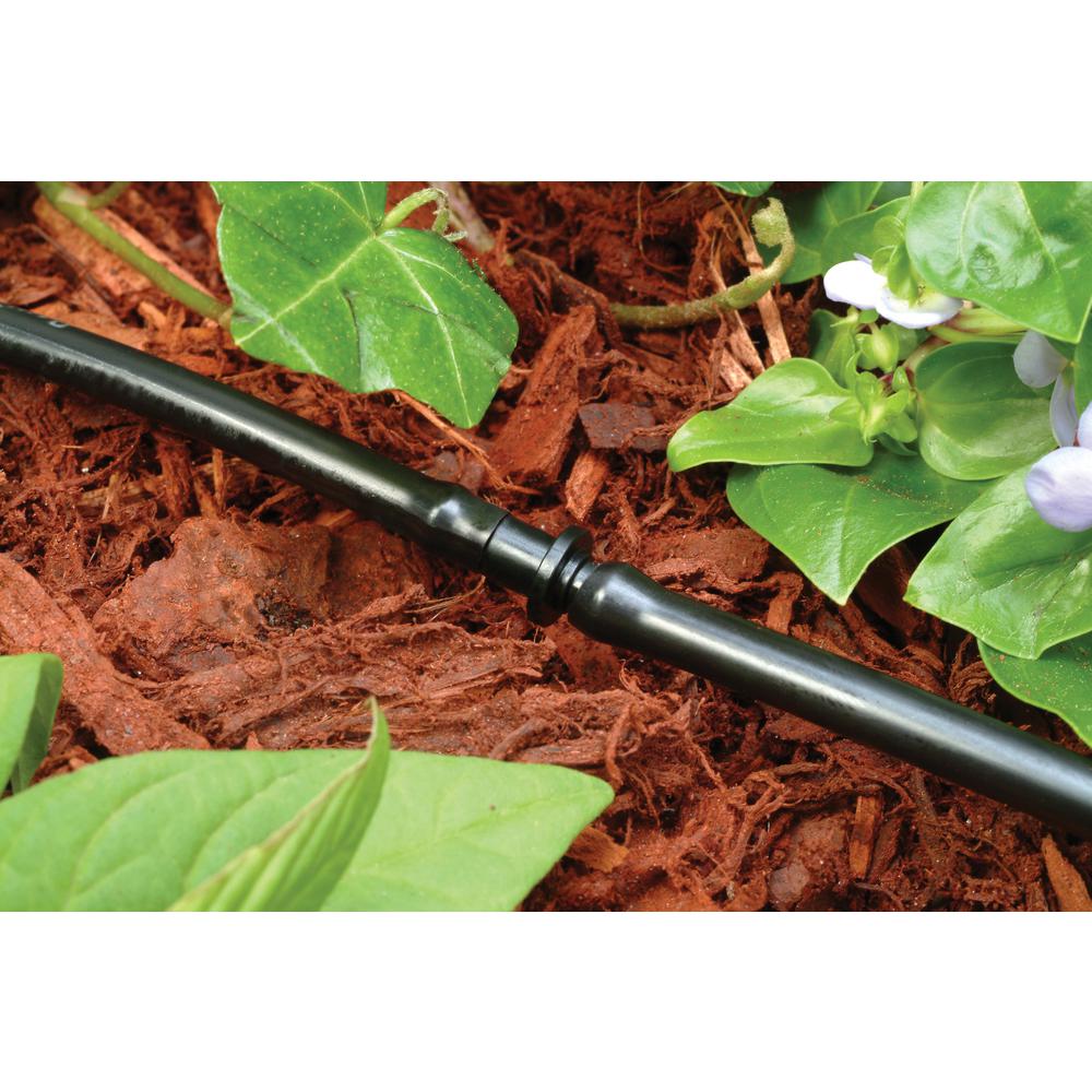 Rain Bird 1/4-in Barbed Drip Irrigation Coupling (Pack Of-10) in the ...