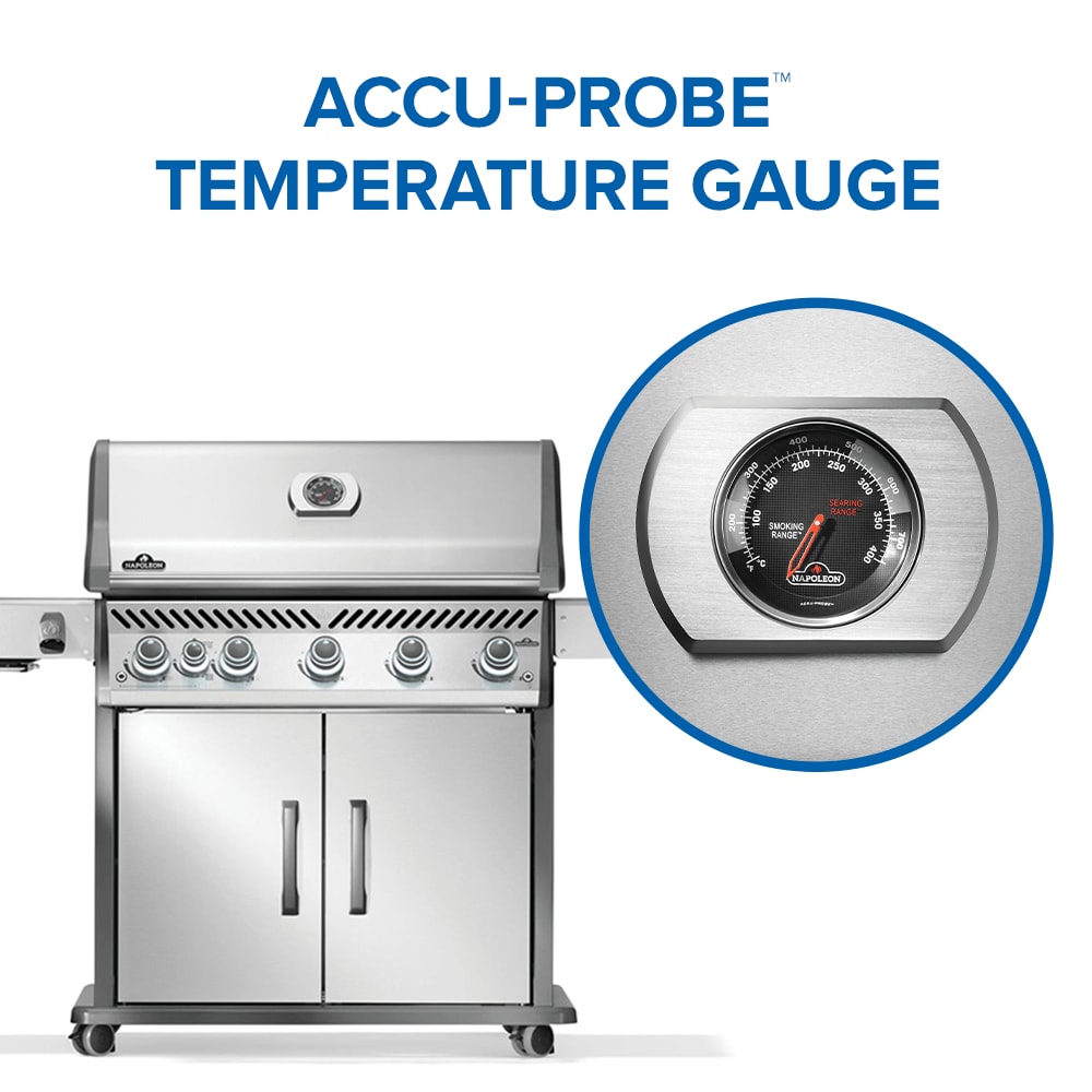 NAPOLEON RP625SIBNSS-2 Gas-Grill - View #9