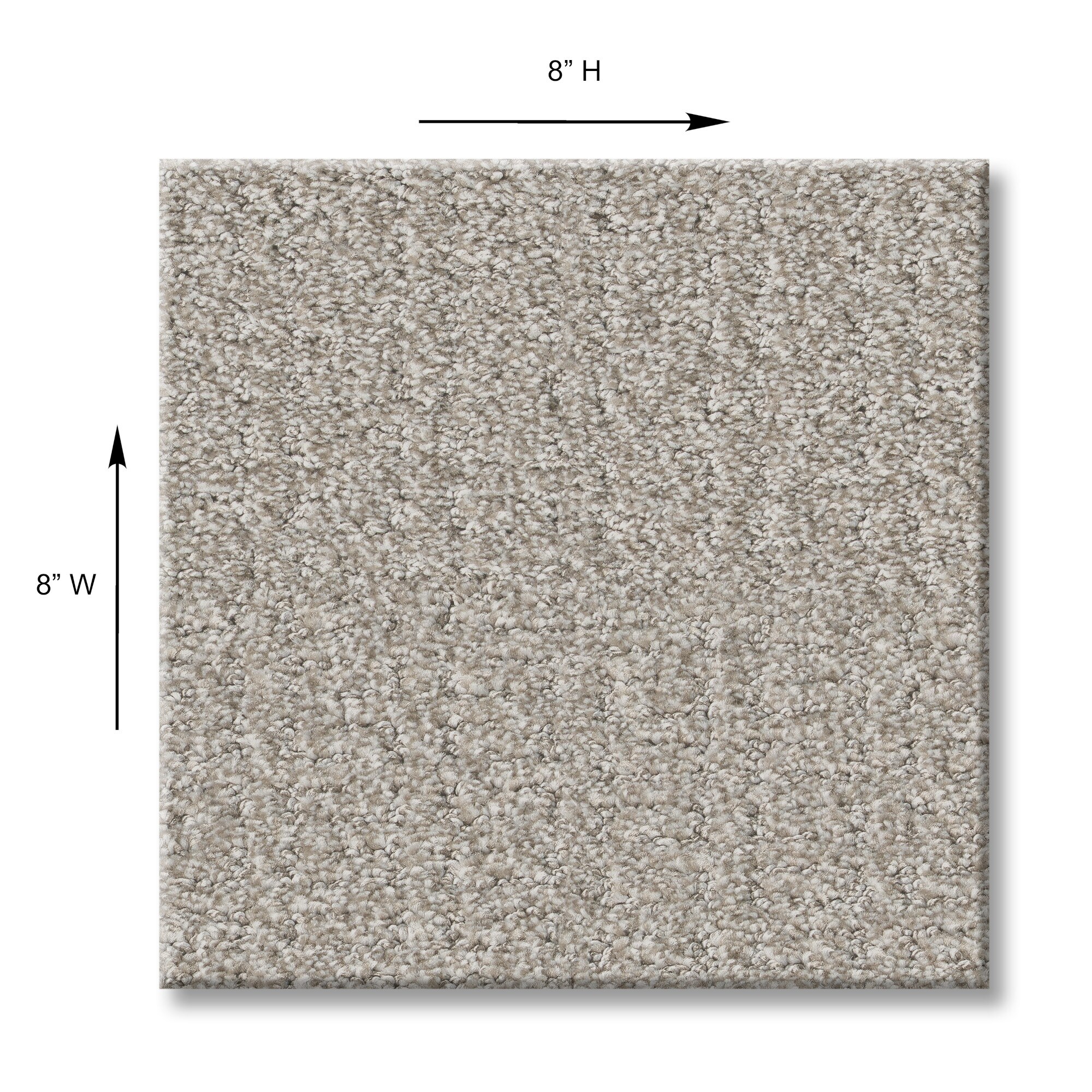 STAINMASTER PetProtect 7L932-113-SAMP Carpet-Samples - View #10