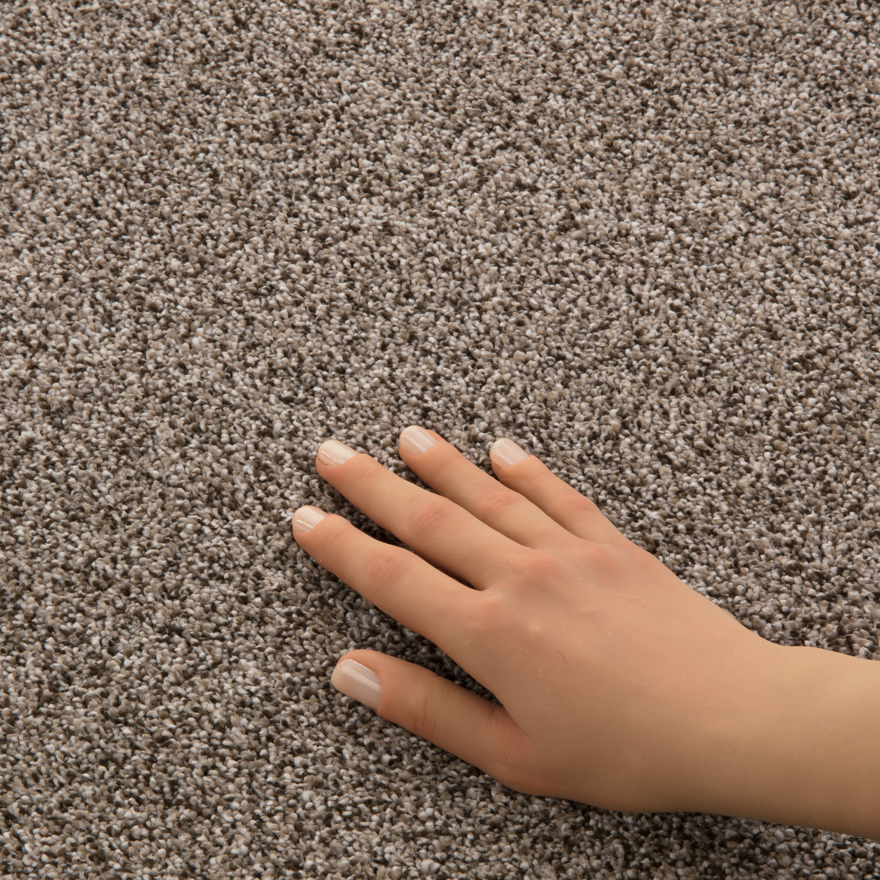STAINMASTER PetProtect 7L93100765 Carpet-Panel - View #5