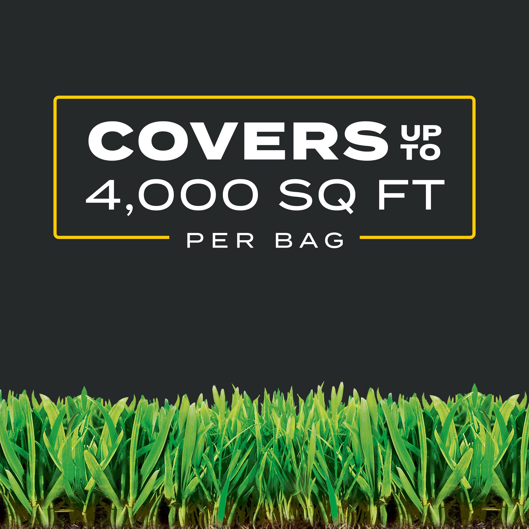 Scotts 26005 Lawn-Fertilizer - View #10