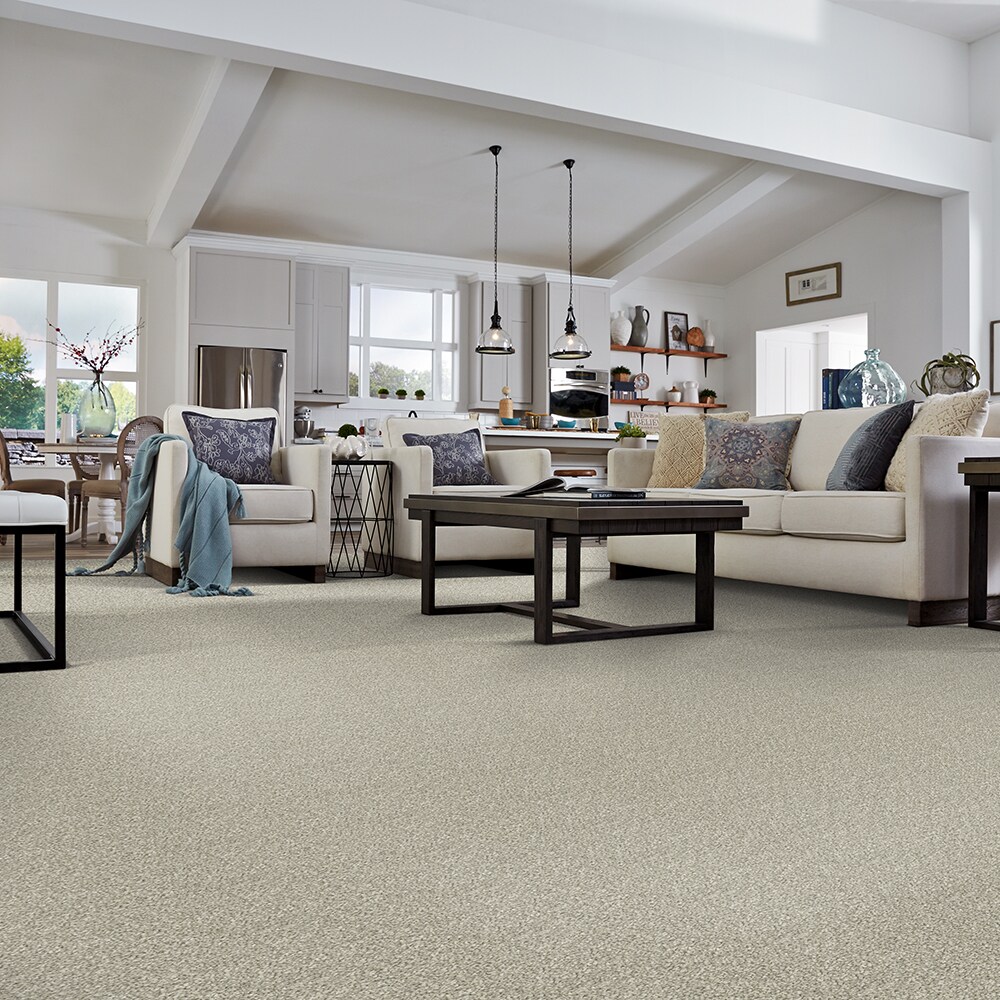 STAINMASTER S9570-955-1200-MO Carpet-Panel - View #5