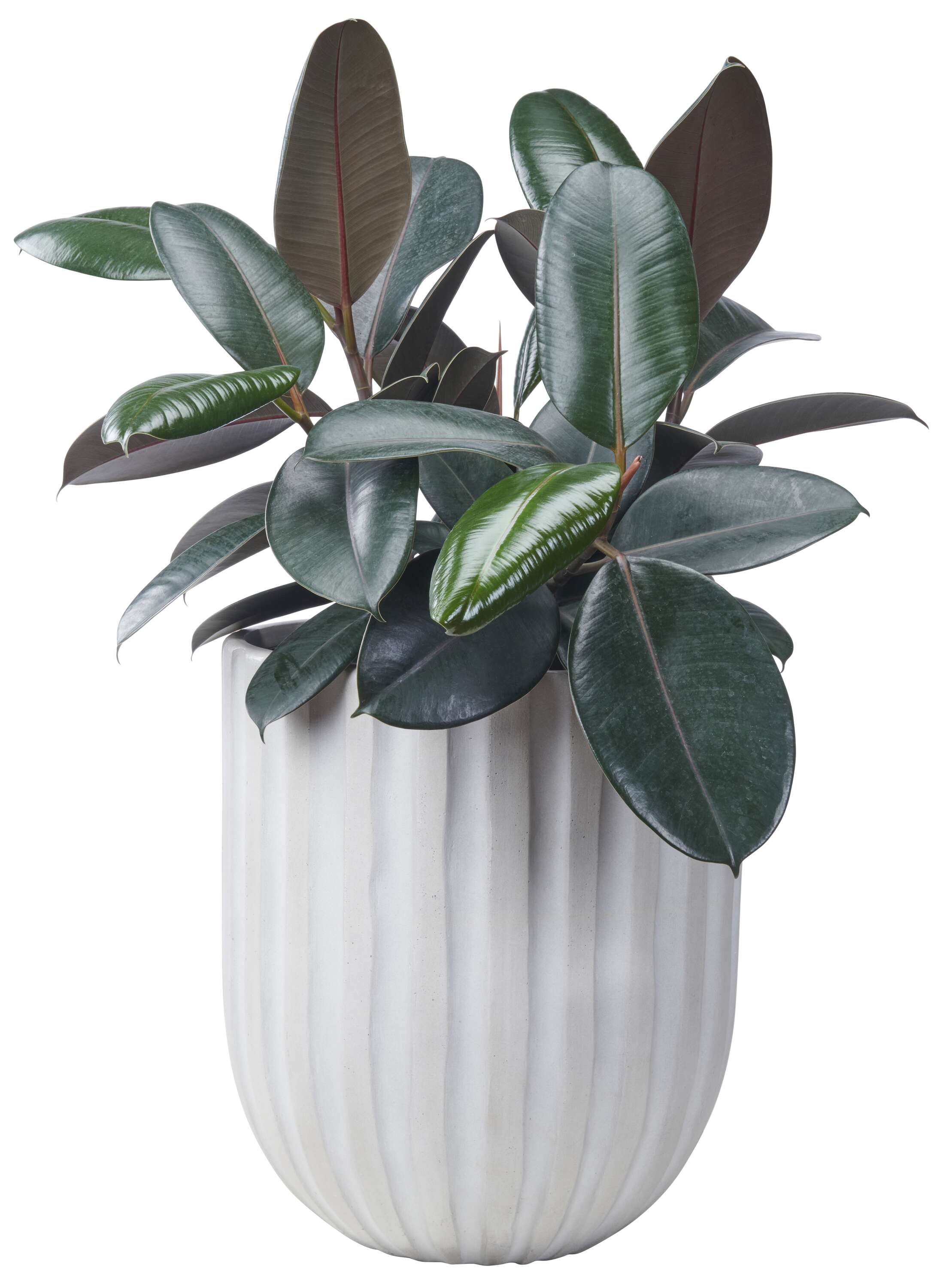 Origin 21 PC9464NCH Planter-Window-Box - View #6