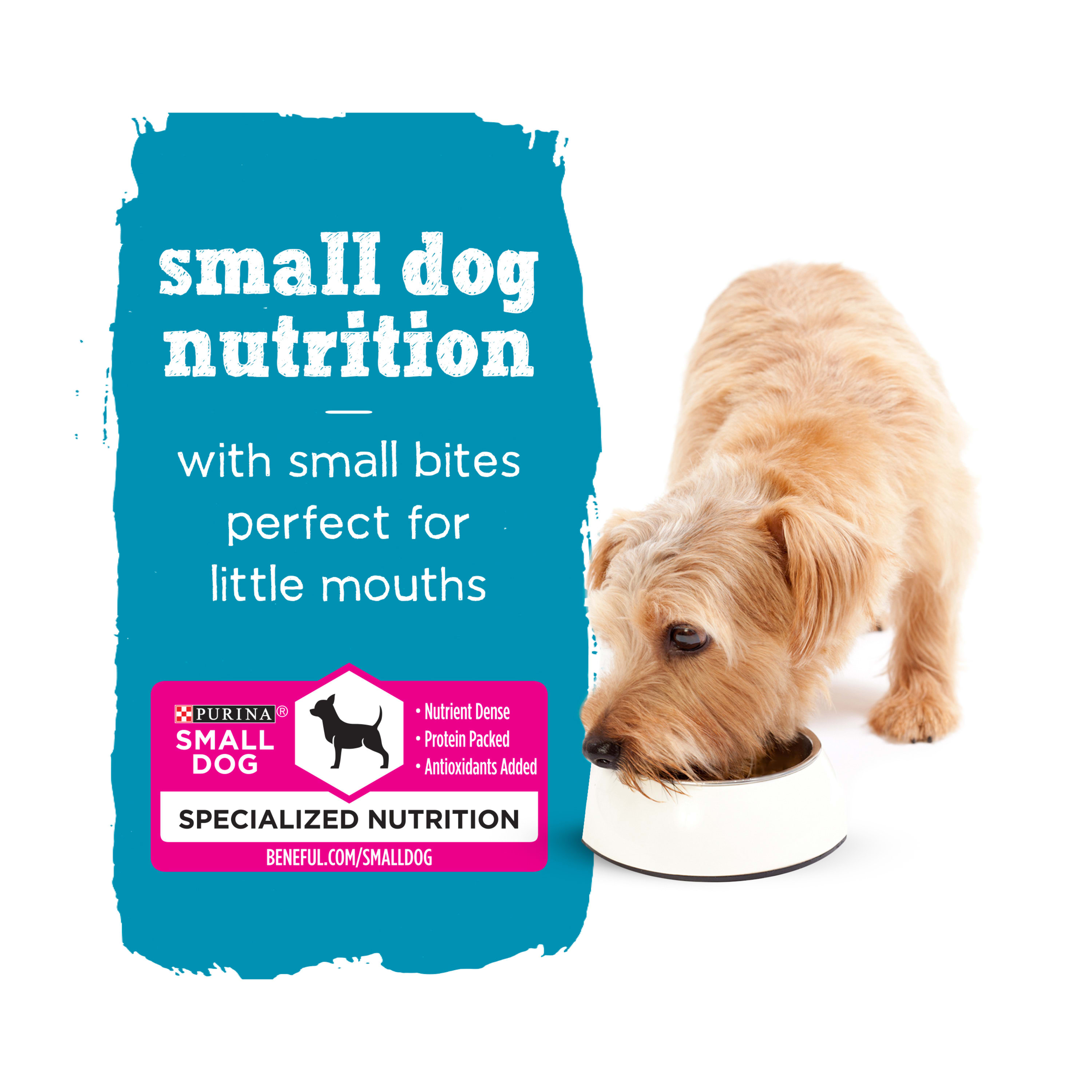 Nestle Purina 001780019084 Wet-Dog-Food - View #9