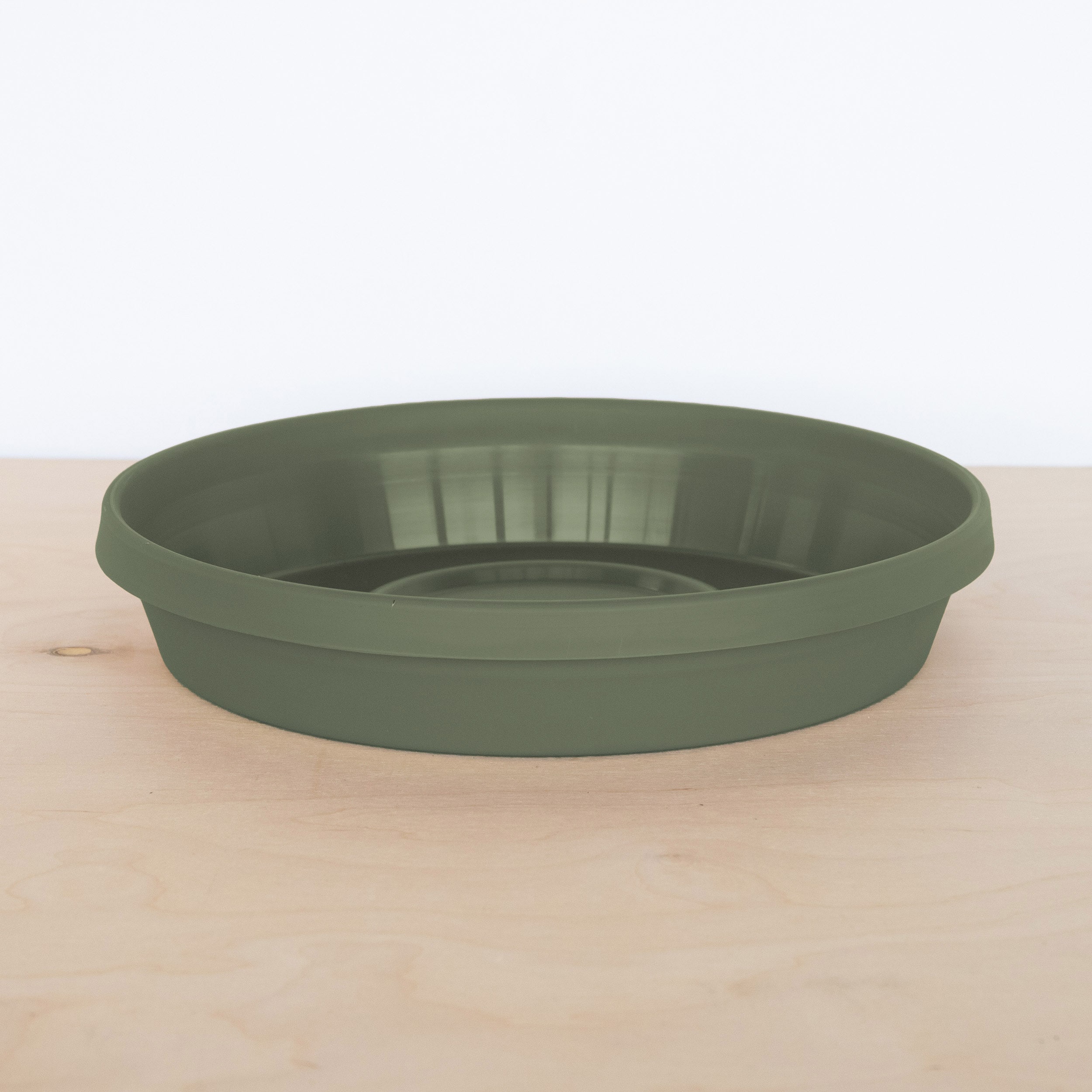 Bloem 51424 Plant-Saucers - View #5