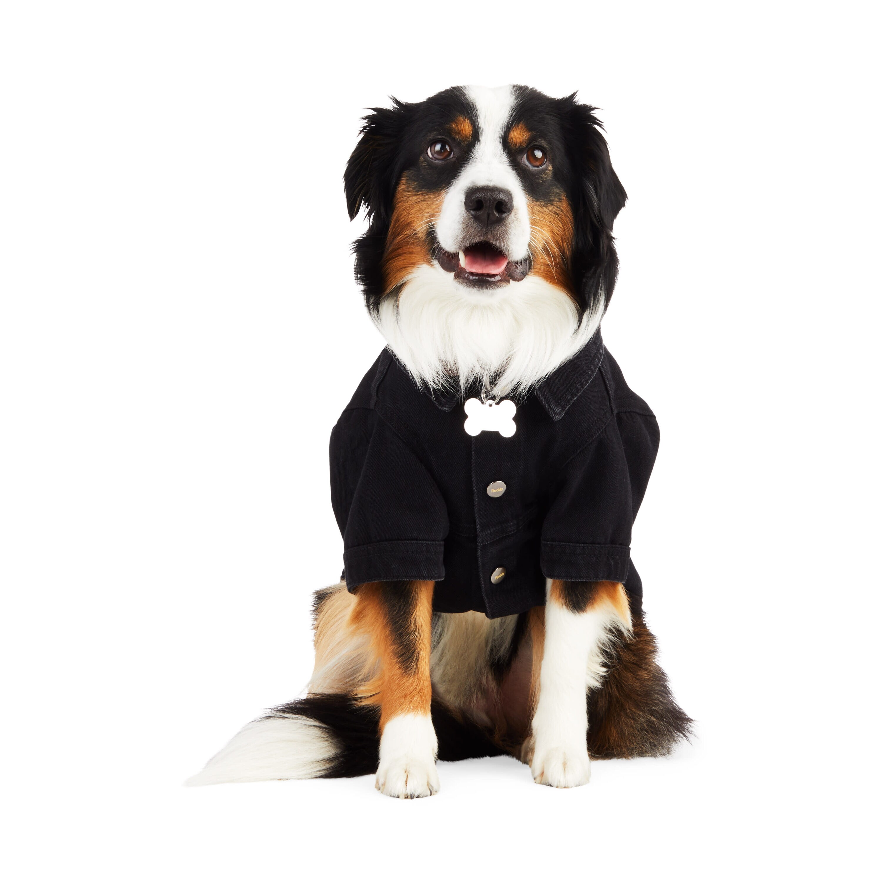 Reddy PTY-23050118XL Dog-Clothing-Acc - View #2
