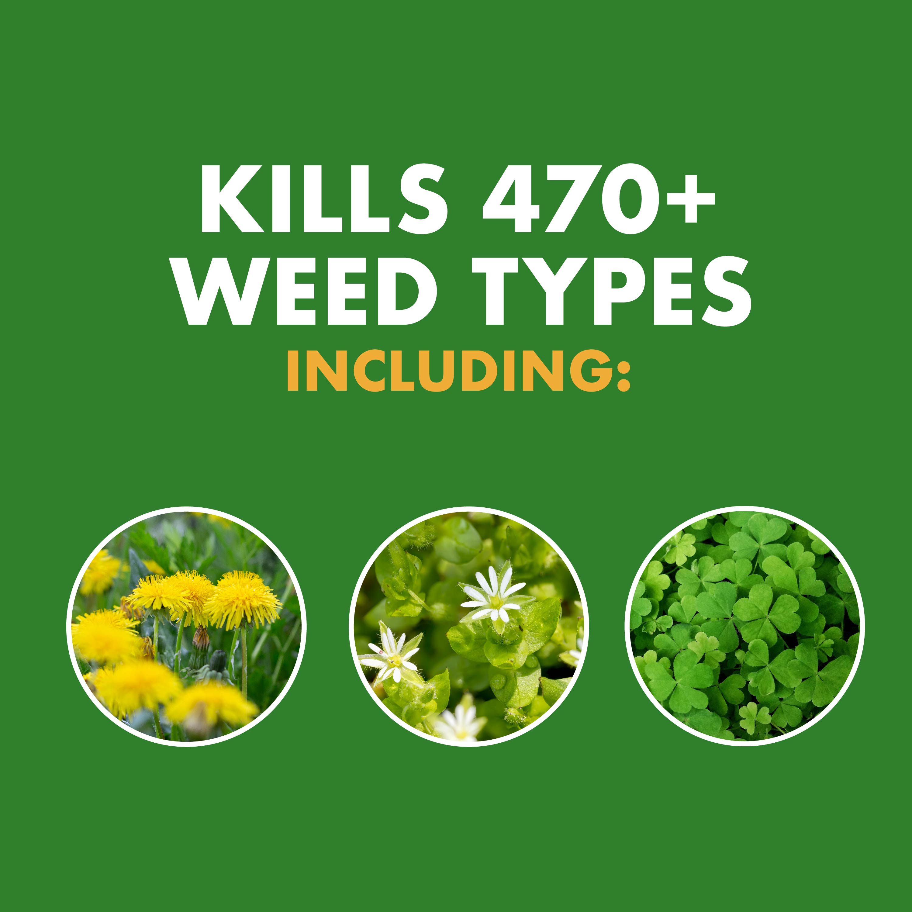 Spectracide HG-96587 Weed-Killers - View #5