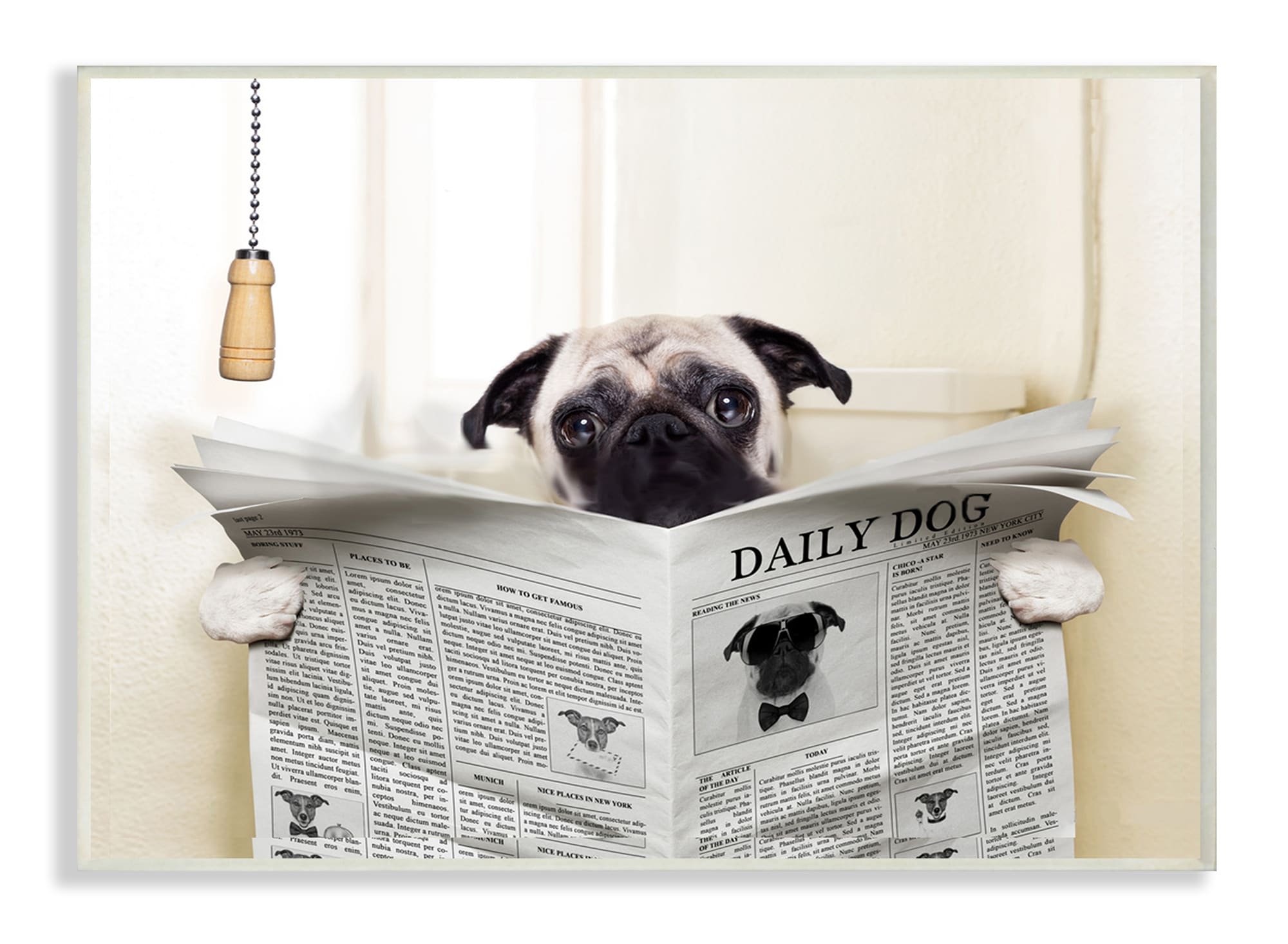 Stupell Industries WRP-1169-WD-10X15 Pug Reading Newspaper in Bathroom In House Artist Frameless 15-in H x 10-in W Bath Print