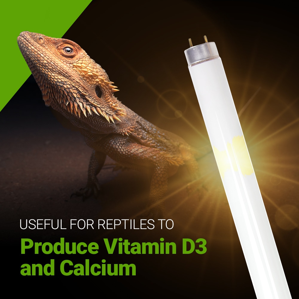 Bluex Bulbs REPTILE-T8-14W Specialty-Light-Bulbs - View #9