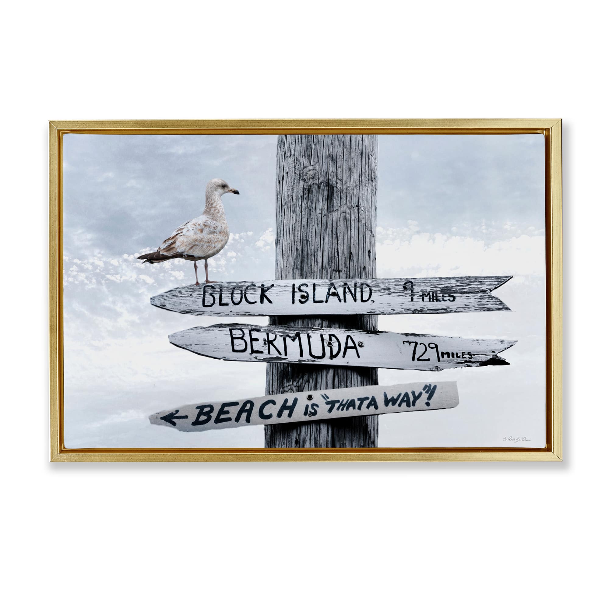 Stupell Industries BS-688-FFG-16X24 Vacation Beach Signs with Seagull Gold Framed Floater Canvas Wall Art By Robin-Lee Viera 25 x 17