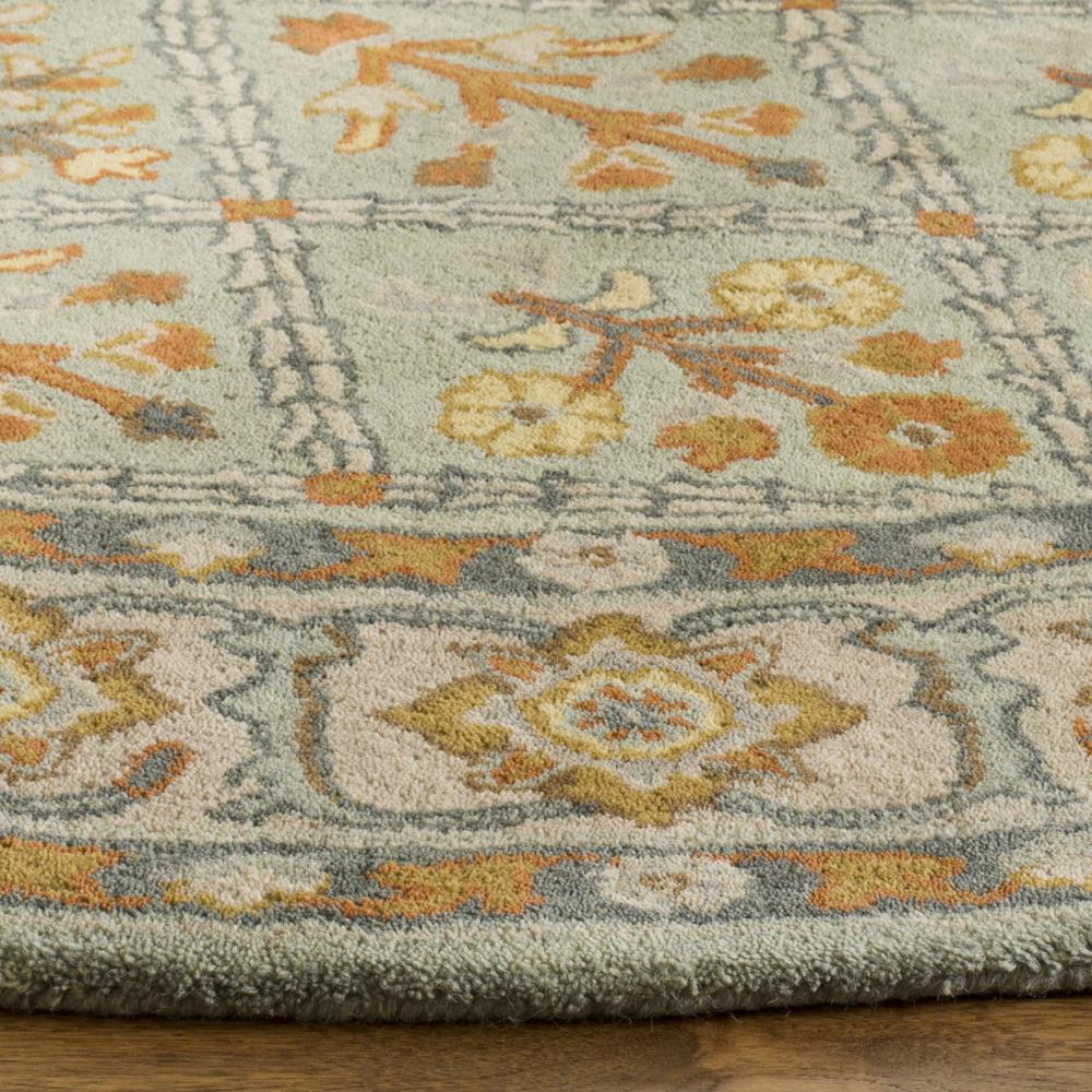 Safavieh HG738A-6R rugs - View #3