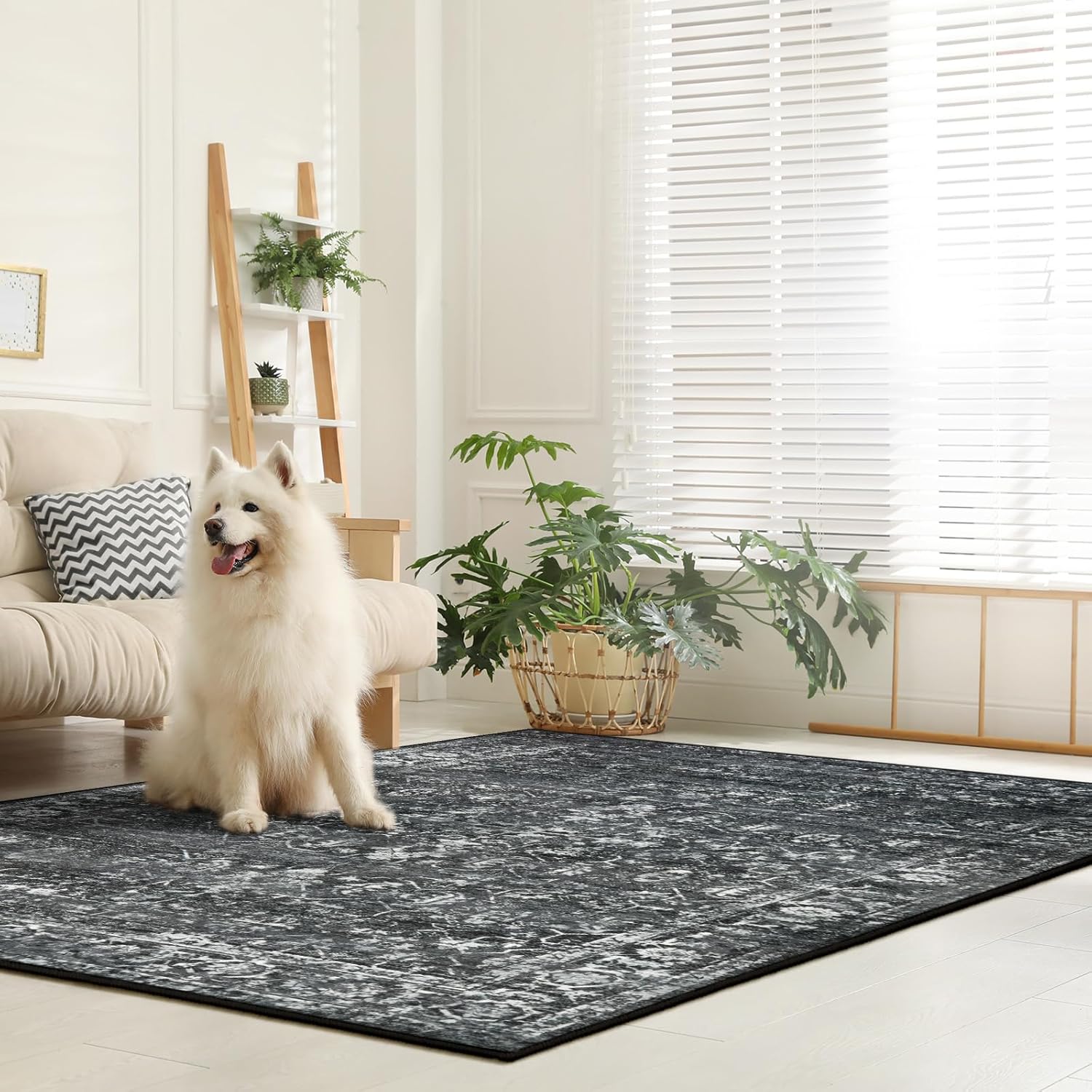 Lahome AR-ZZR-006-B1 rugs - View #4