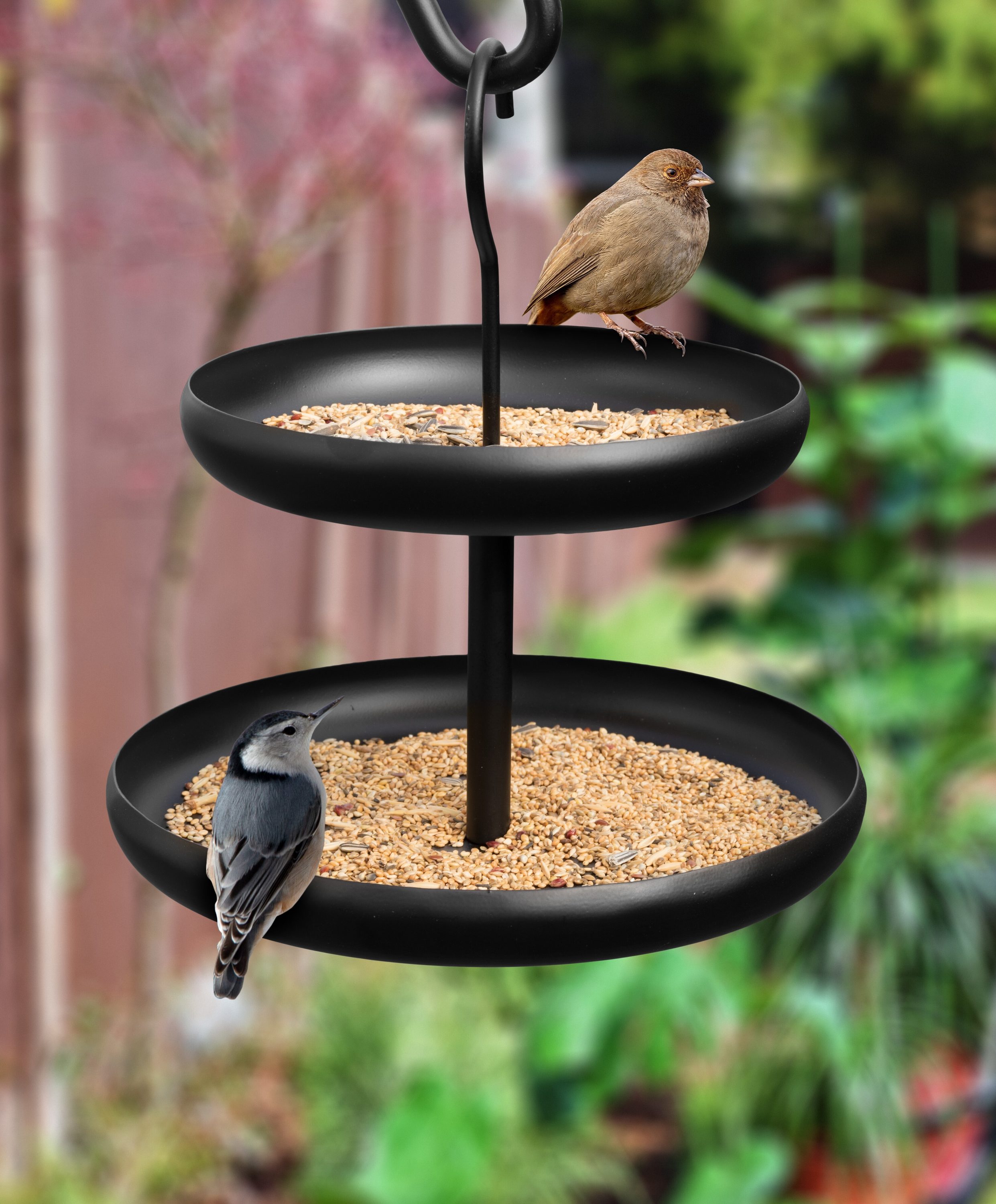 mess free wild bird seed