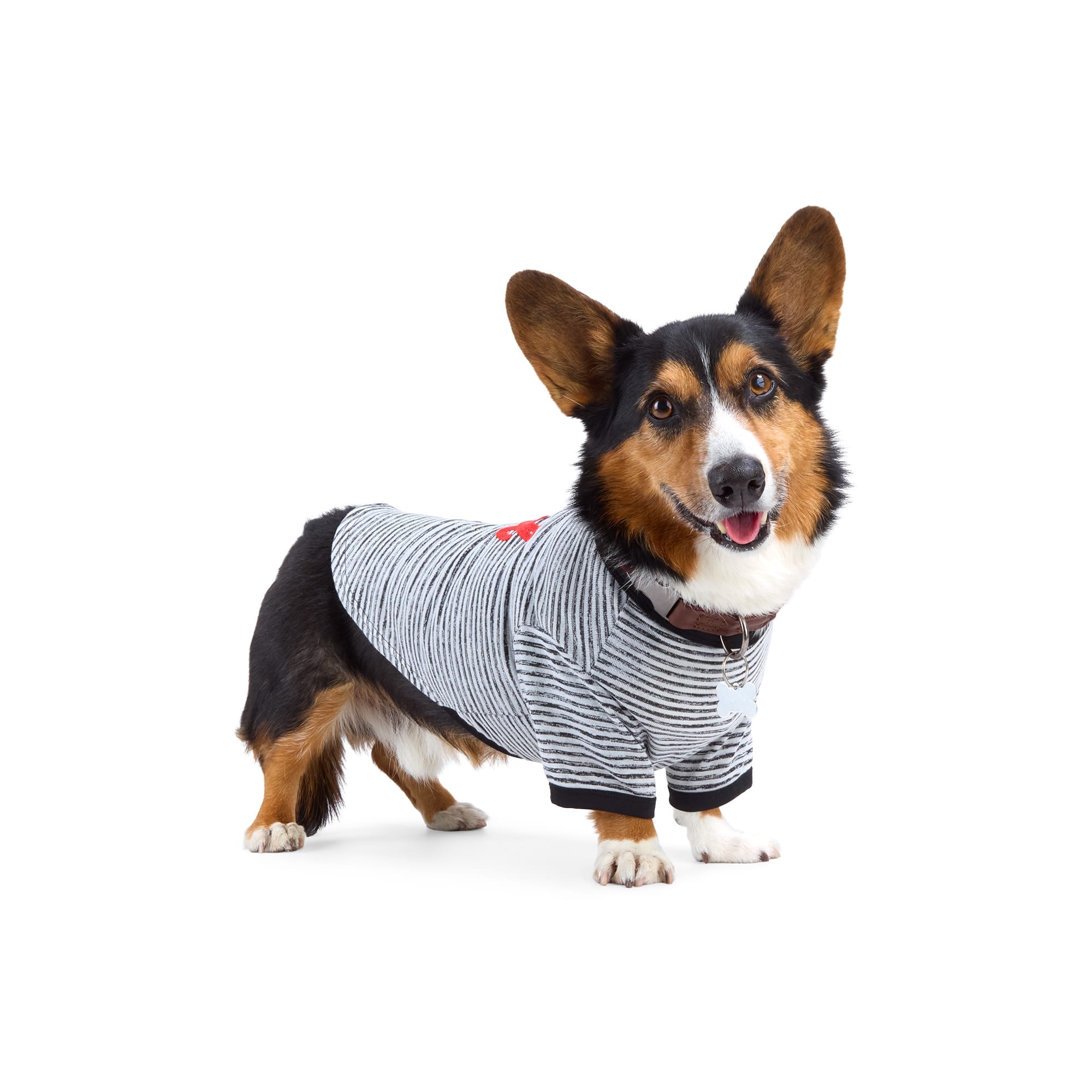 Reddy 24P511-L Dog-Clothing-Acc - View #2